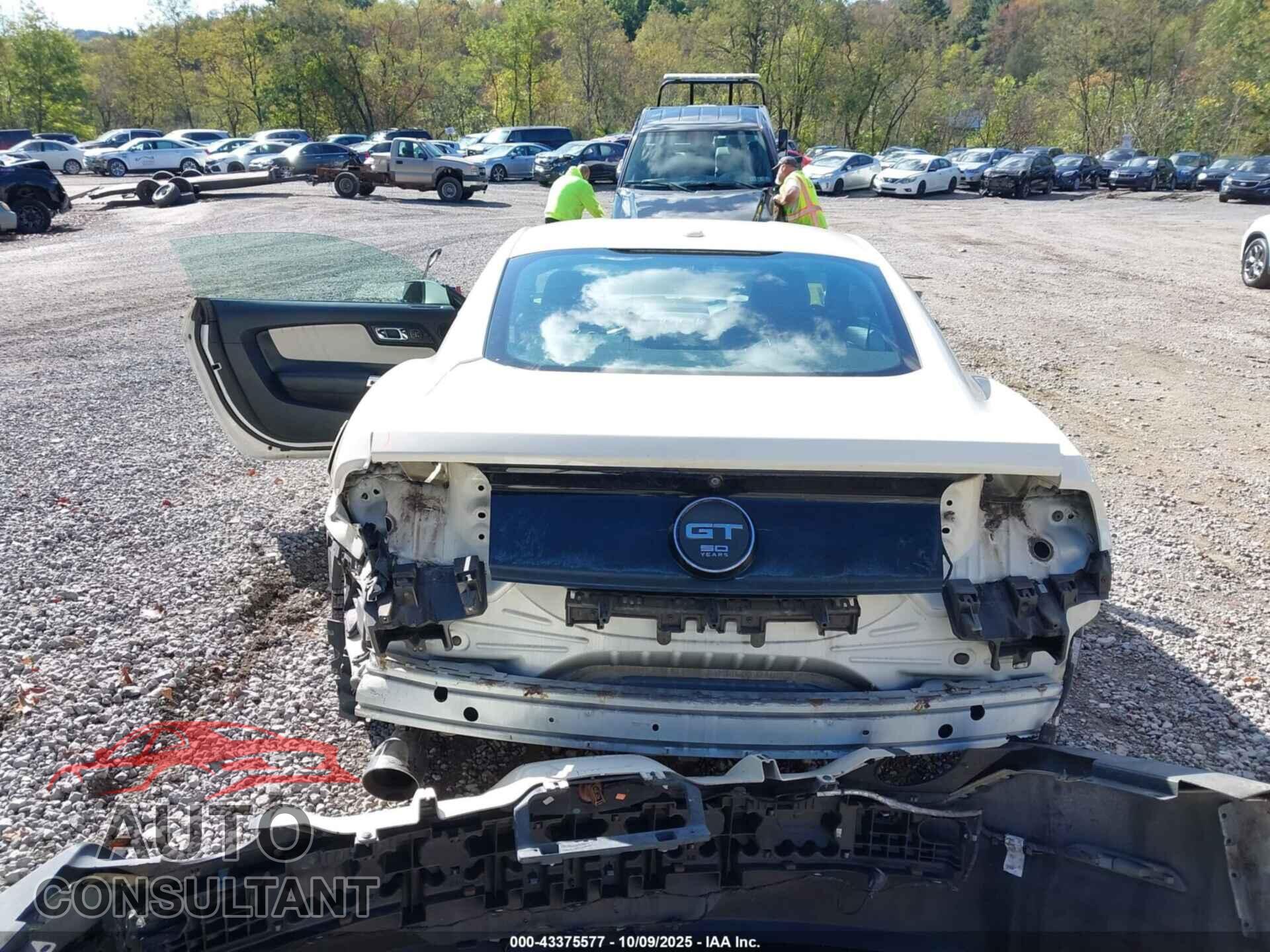 FORD MUSTANG 2015 - 1FA6P8RF7F5501447