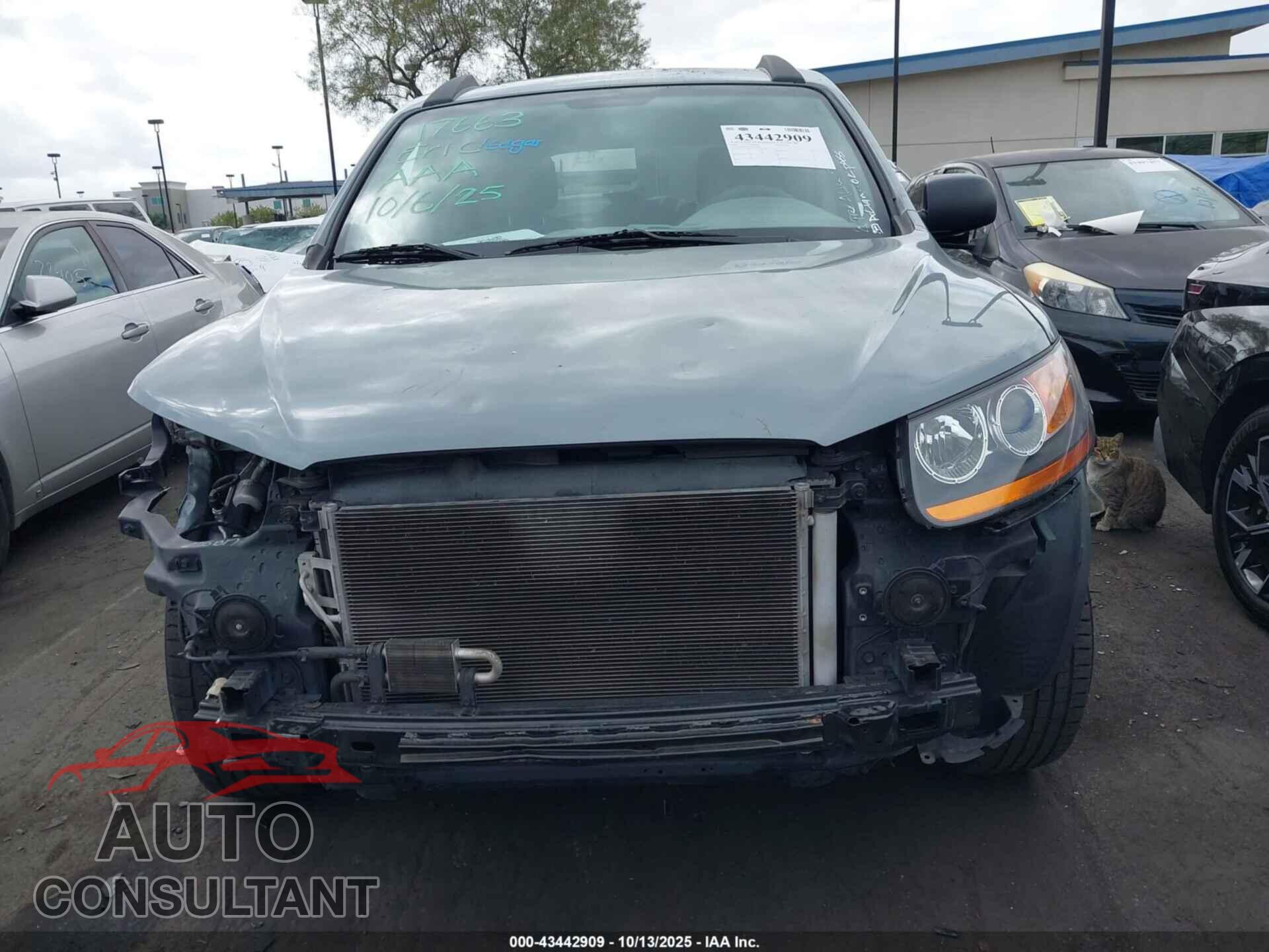 HYUNDAI SANTA FE 2009 - 5NMSG13D99H315224