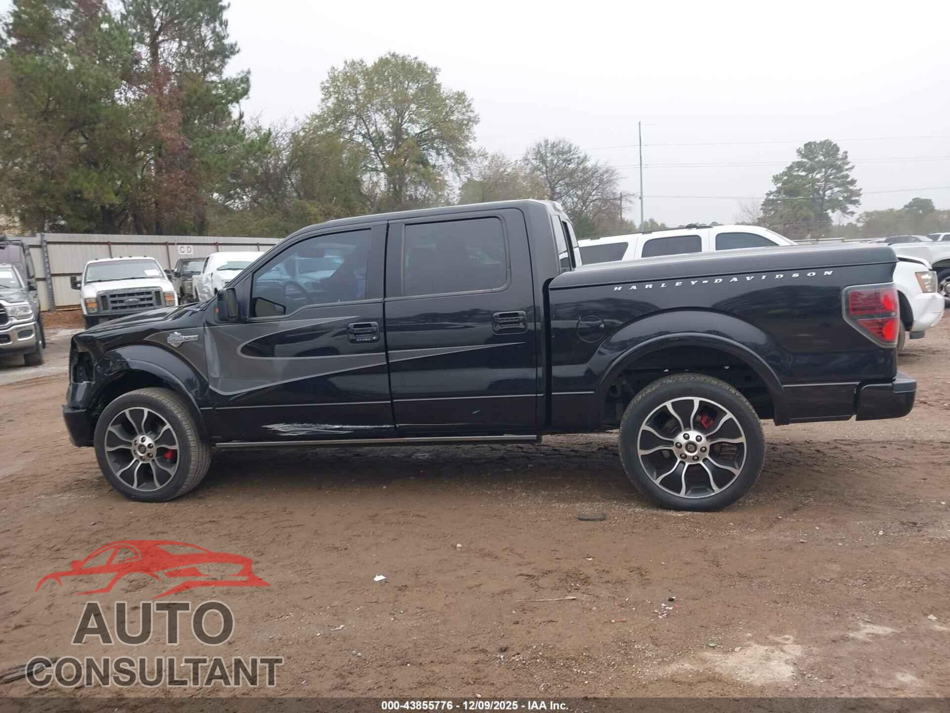 FORD F-150 2012 - 1FTFW1E6XCFA85782