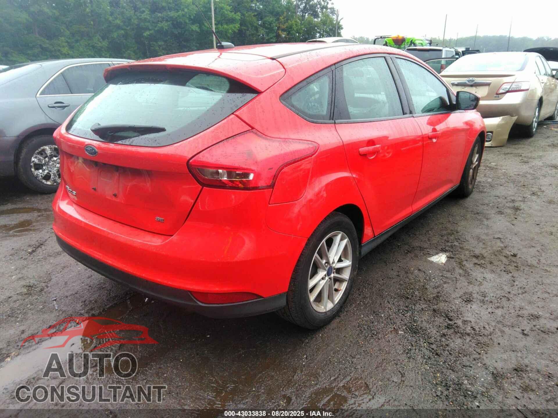 FORD FOCUS 2017 - 1FADP3K21HL317685