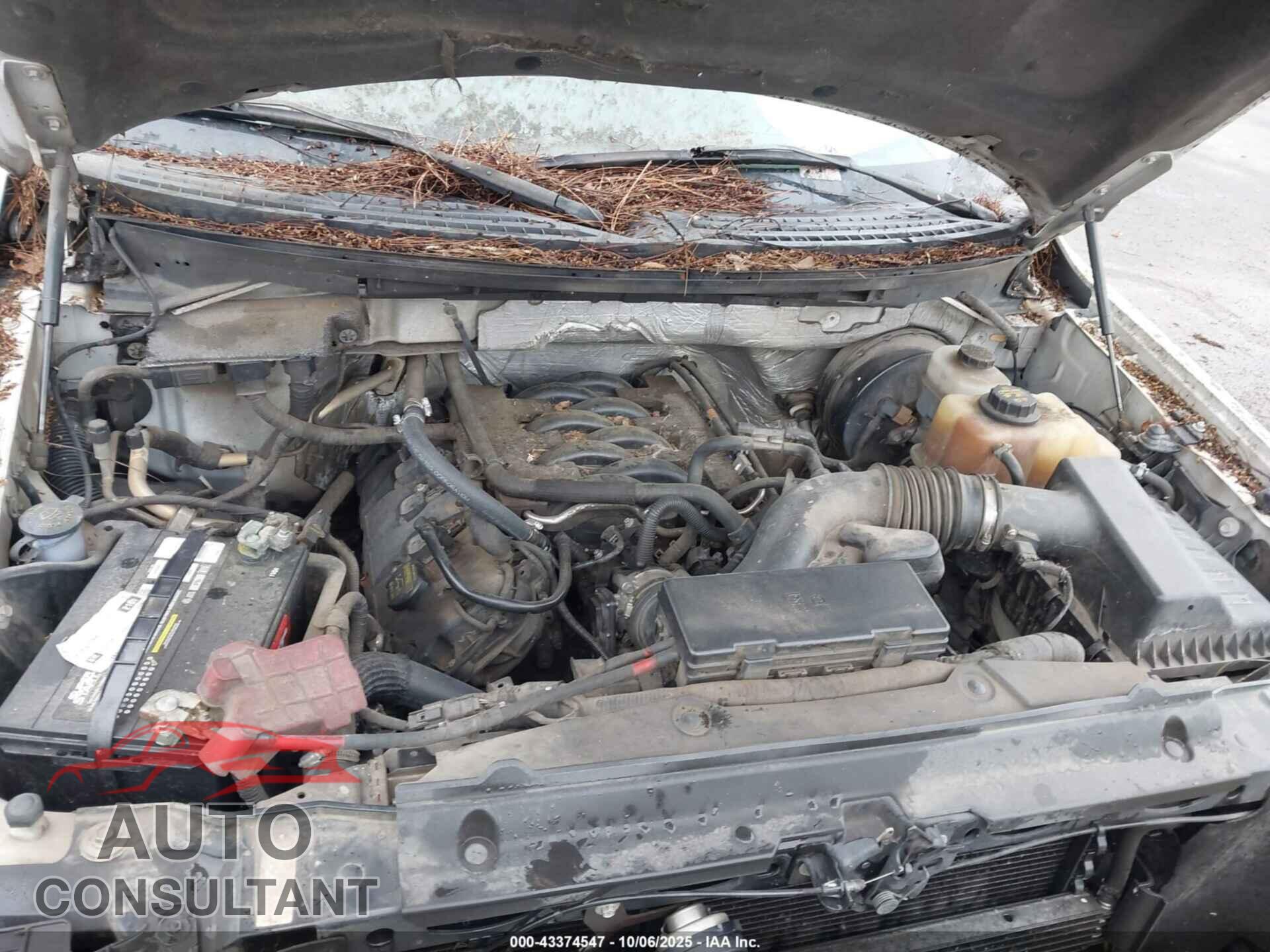 FORD F-150 2011 - 1FTFX1CF7BKD25599