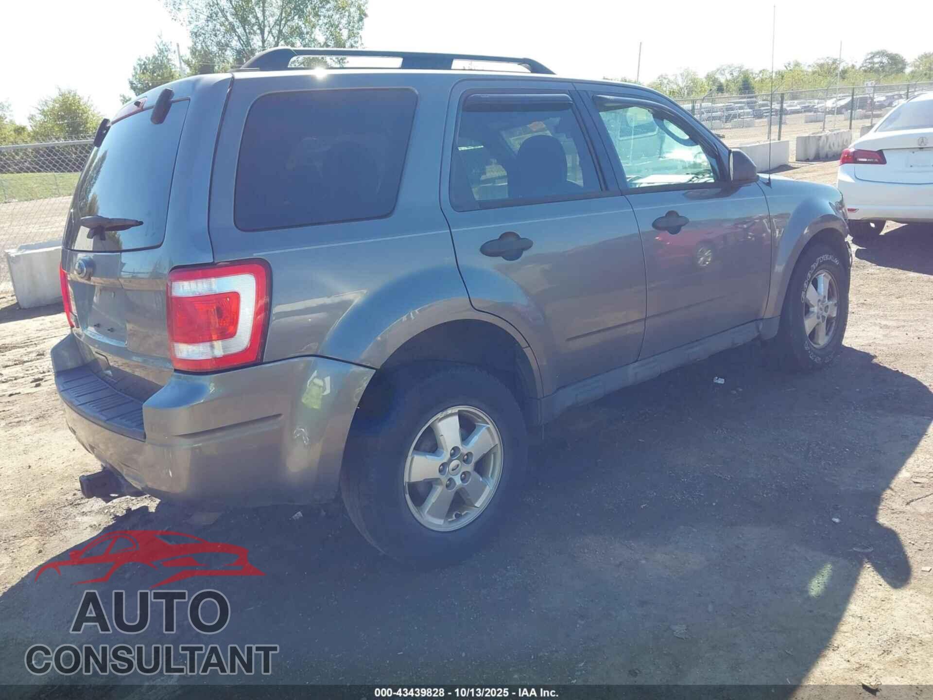 FORD ESCAPE 2010 - 1FMCU0D76AKC62342
