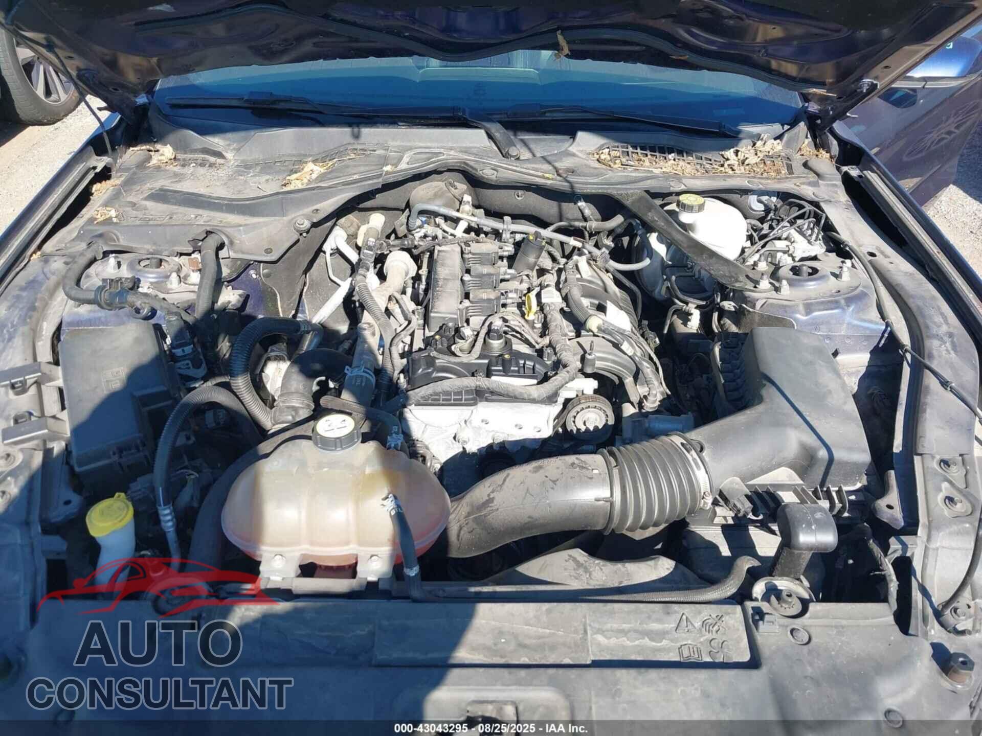 FORD MUSTANG 2018 - 1FATP8UH3J5155868