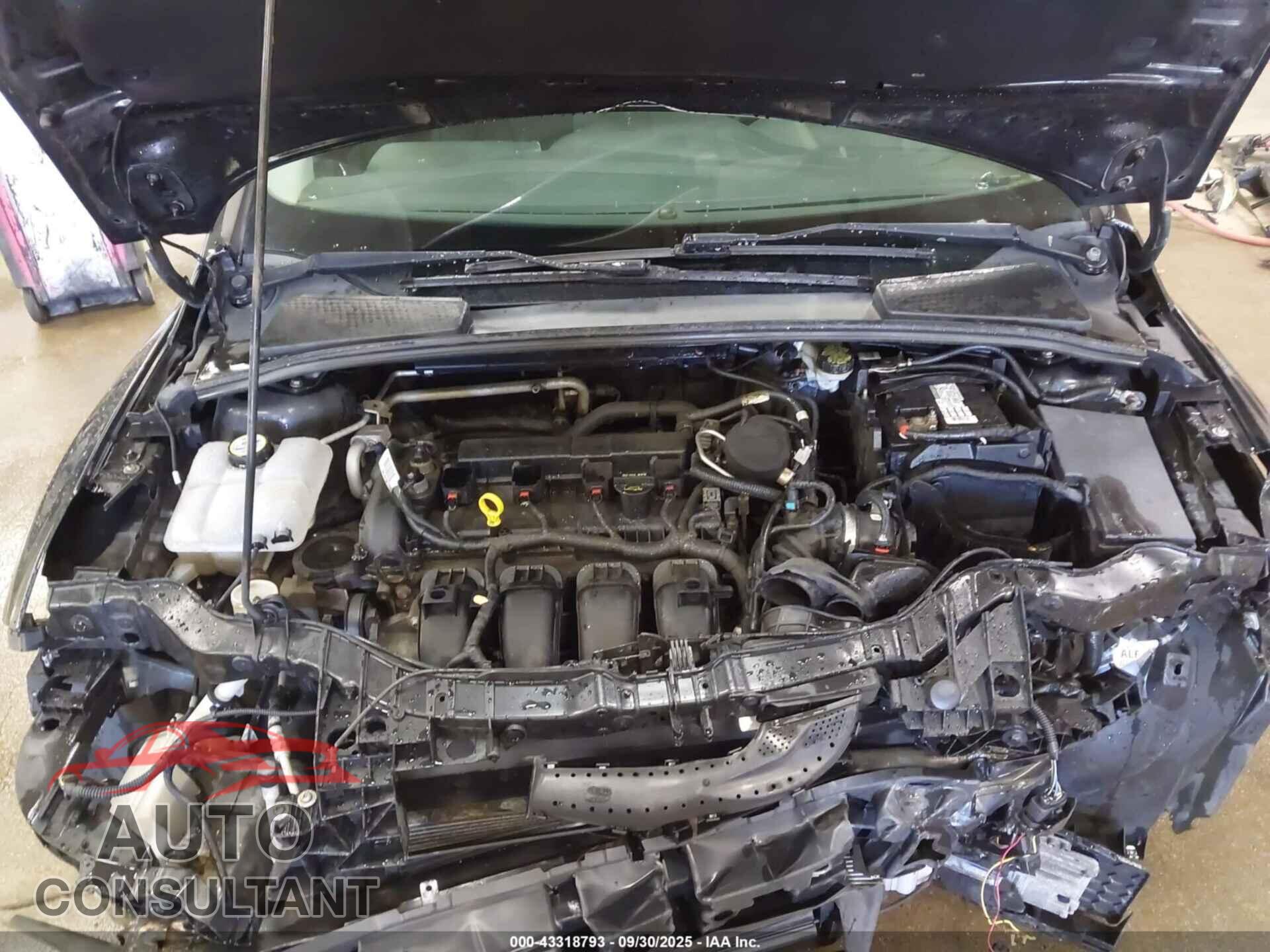 FORD FOCUS 2013 - 1FADP3F29DL336831
