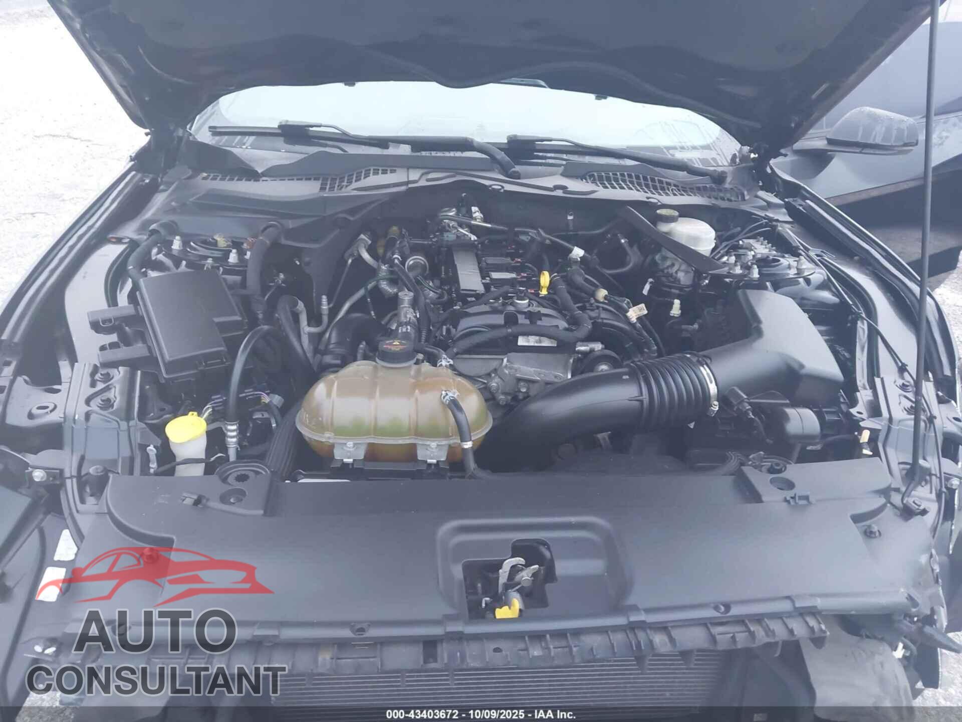 FORD MUSTANG 2015 - 1FATP8UH2F5377230