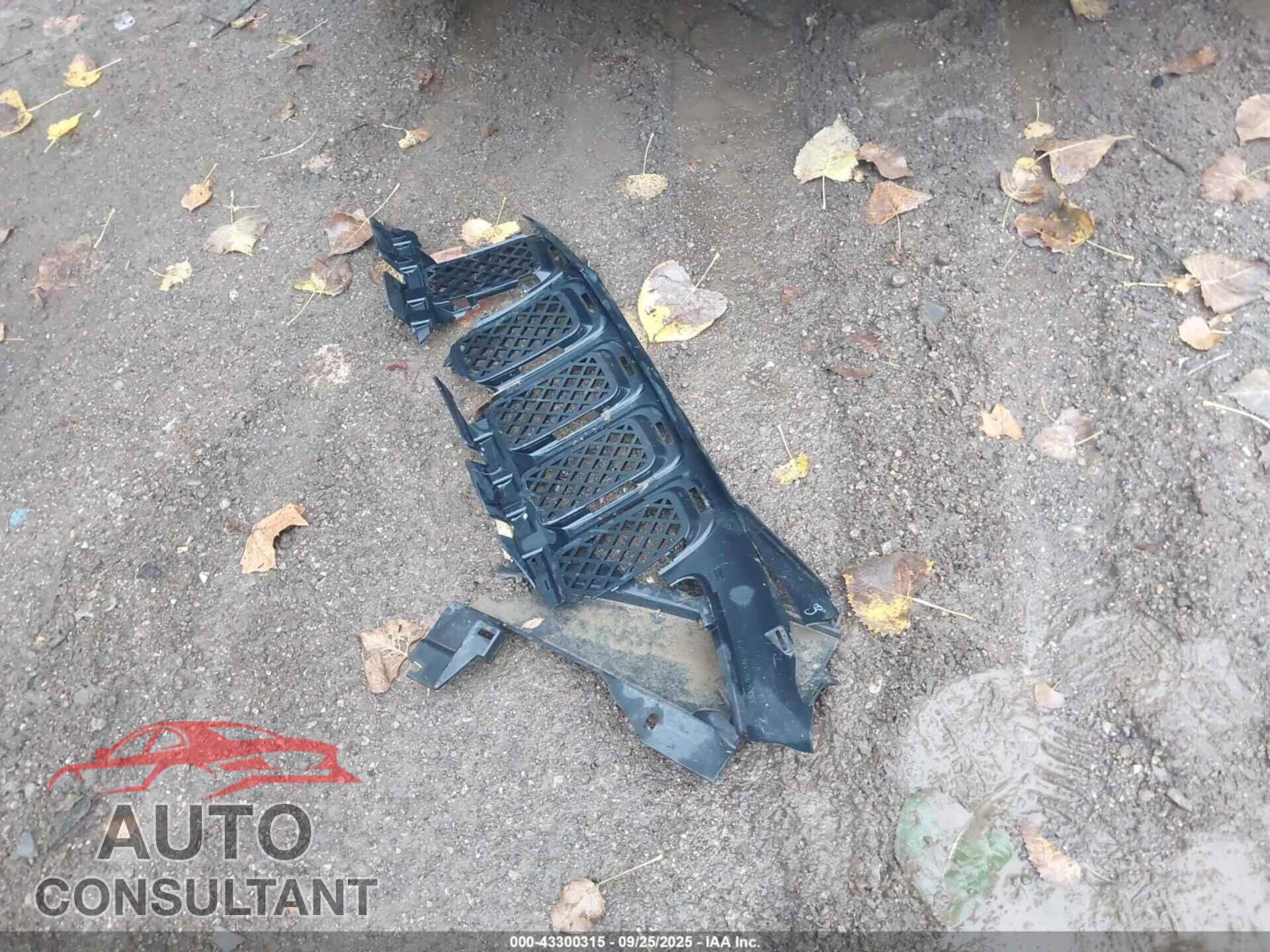 JEEP COMPASS 2016 - 1C4NJCBB4GD693936