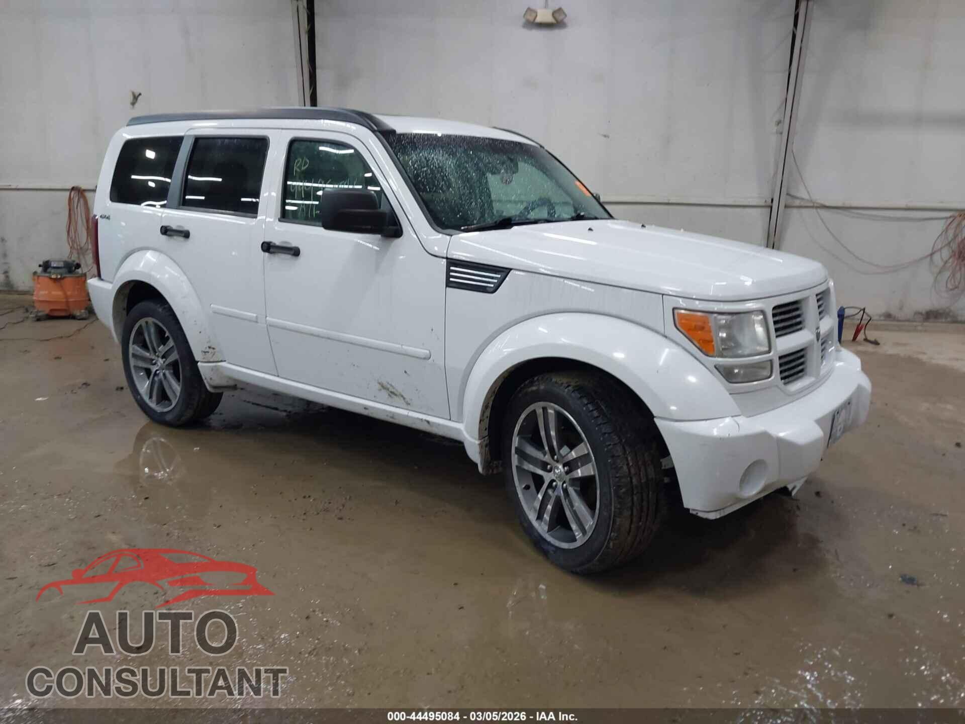 DODGE NITRO 2011 - 1D4PU7GX8BW542044