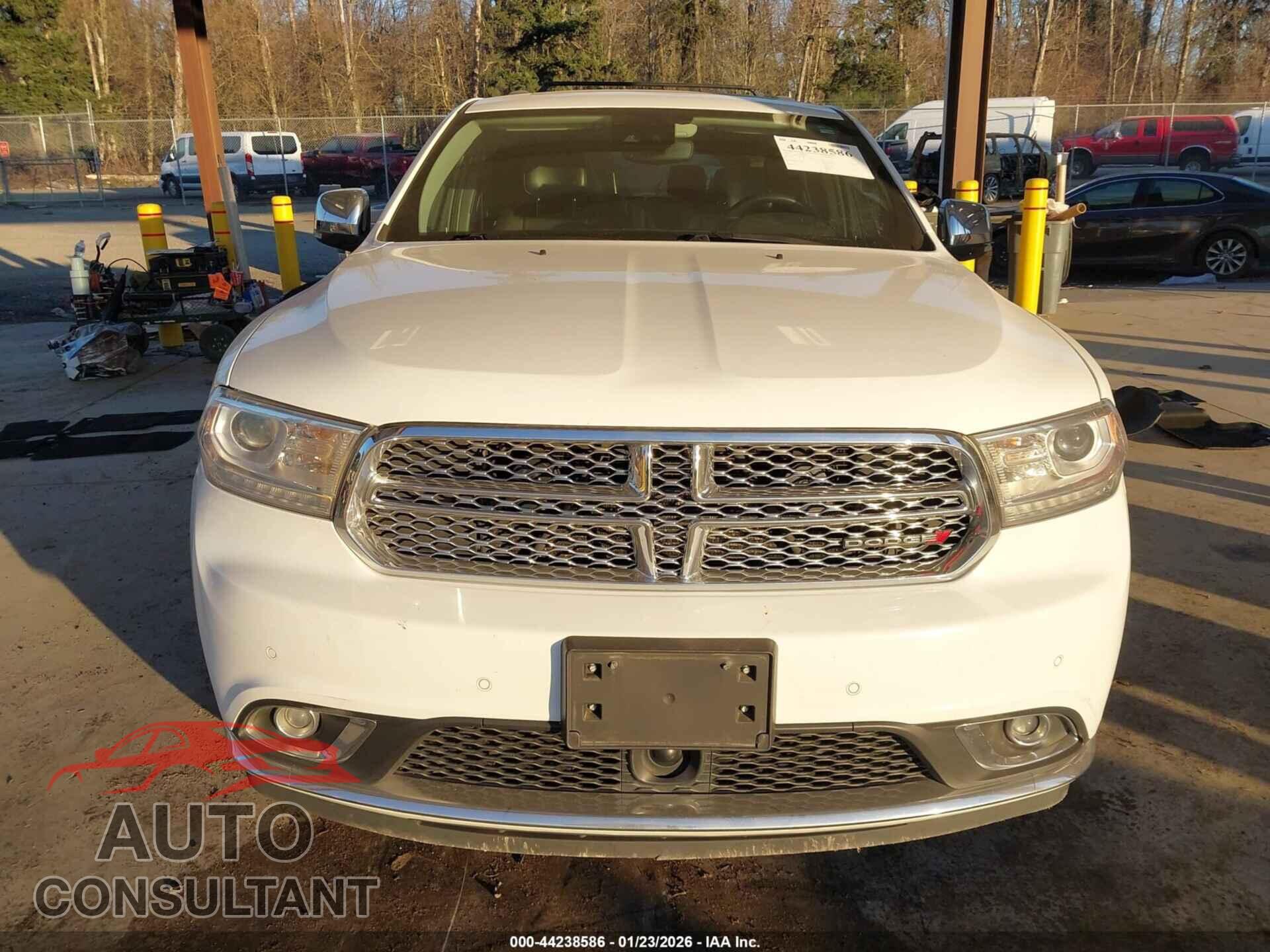 DODGE DURANGO 2019 - 1C4RDJEG2KC738259