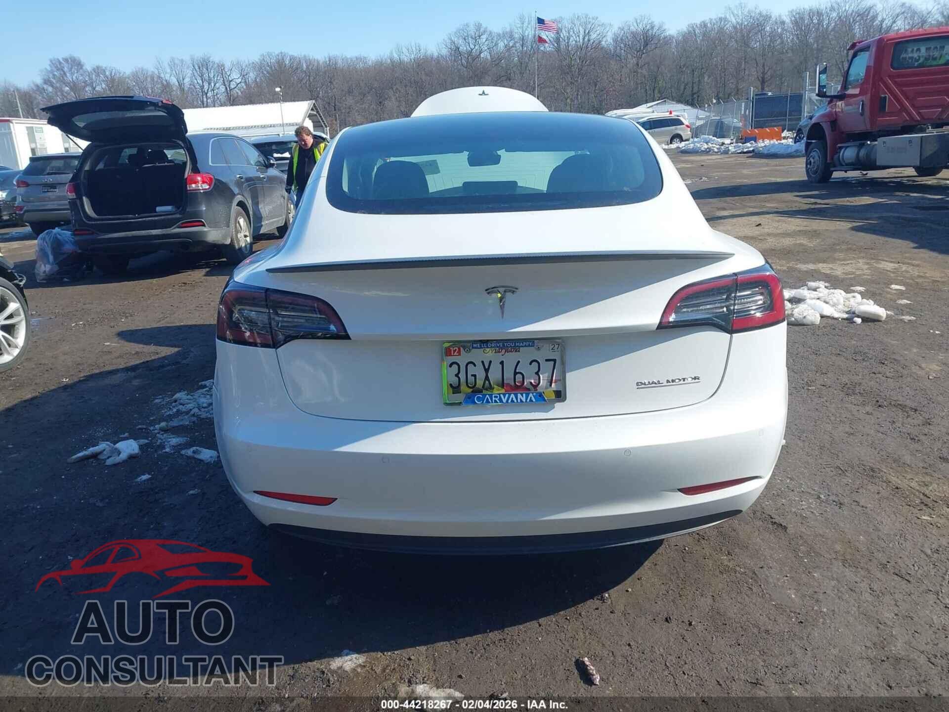 TESLA MODEL 3 2019 - 5YJ3E1EB0KF413684