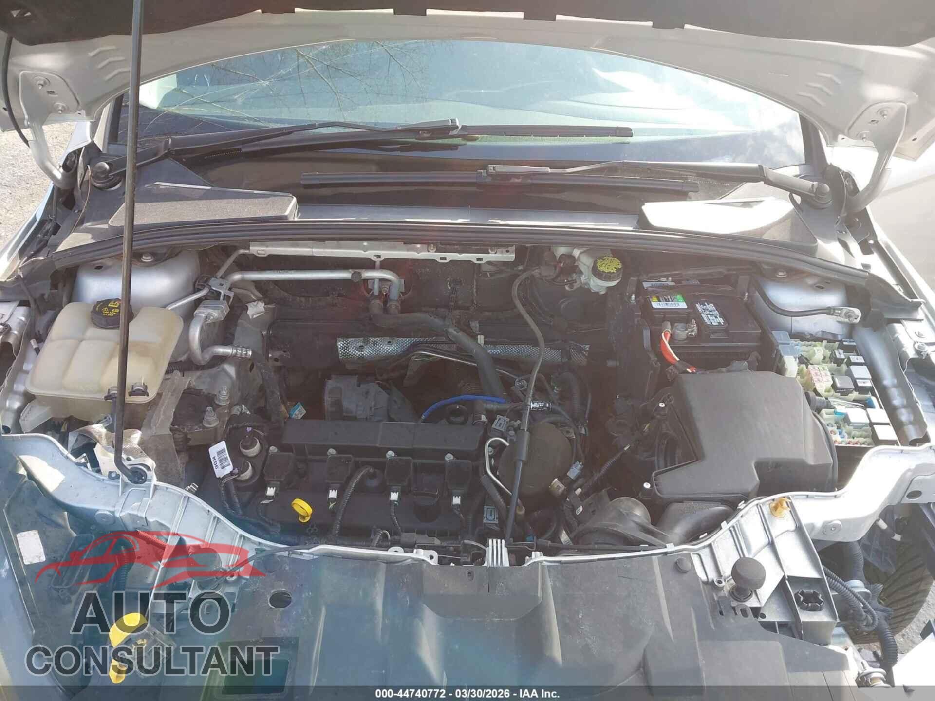 FORD FOCUS 2015 - 1FADP3K28FL313159