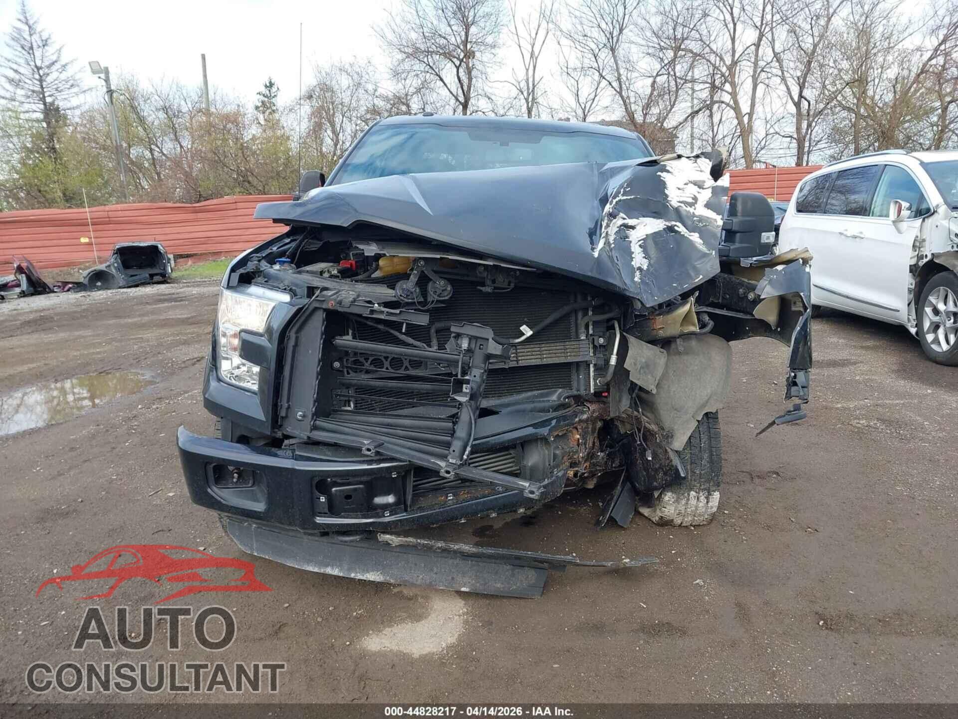FORD F-150 2015 - 1FTFX1EG2FFB96997