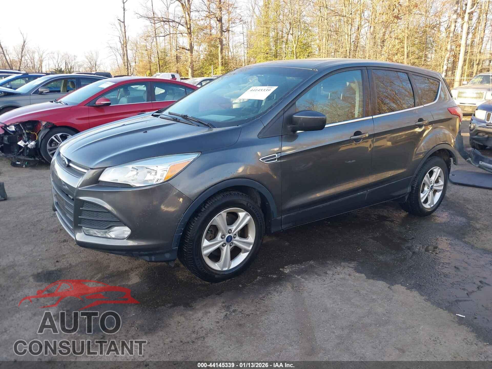 FORD ESCAPE 2016 - 1FMCU0GX1GUB53473