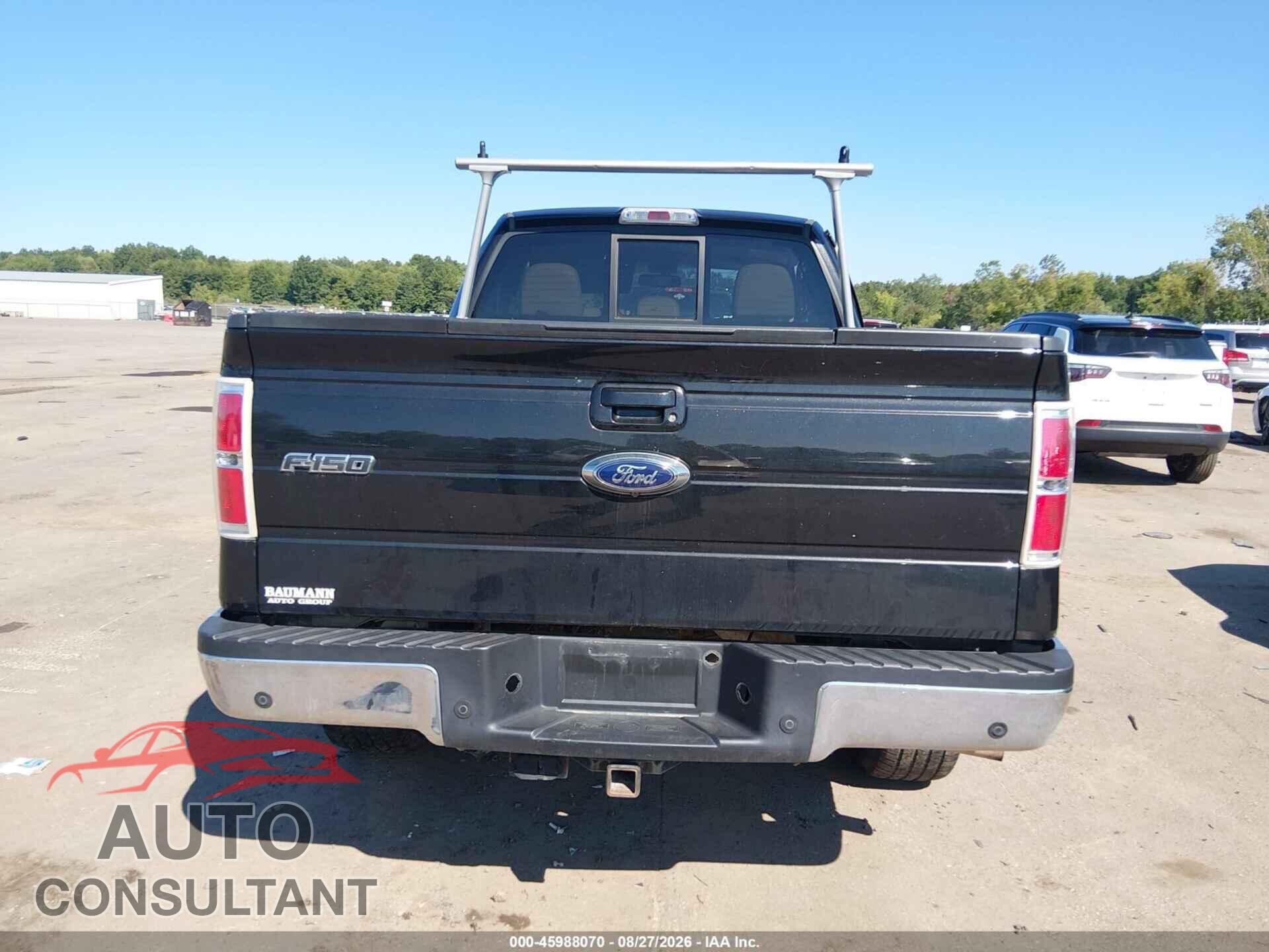 FORD F-150 2014 - 1FTFX1ET4EFD06217