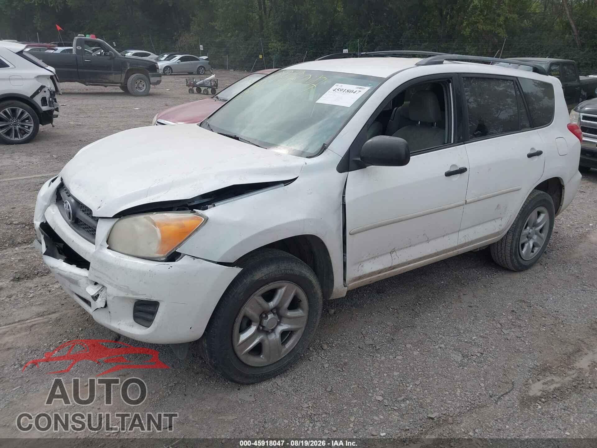 TOYOTA RAV4 2011 - 2T3BF4DV4BW111976