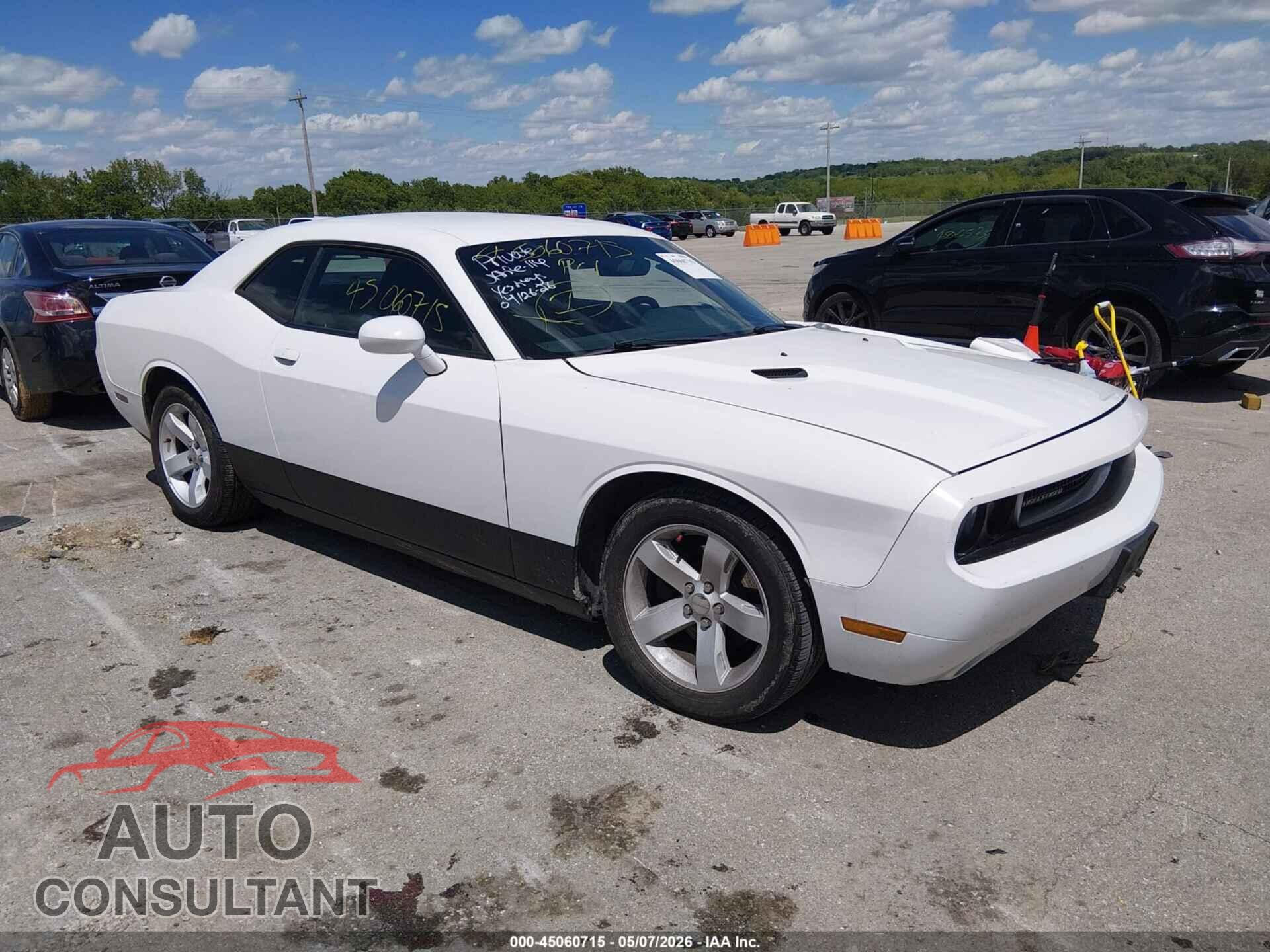 DODGE CHALLENGER 2013 - 2C3CDYAG2DH645847