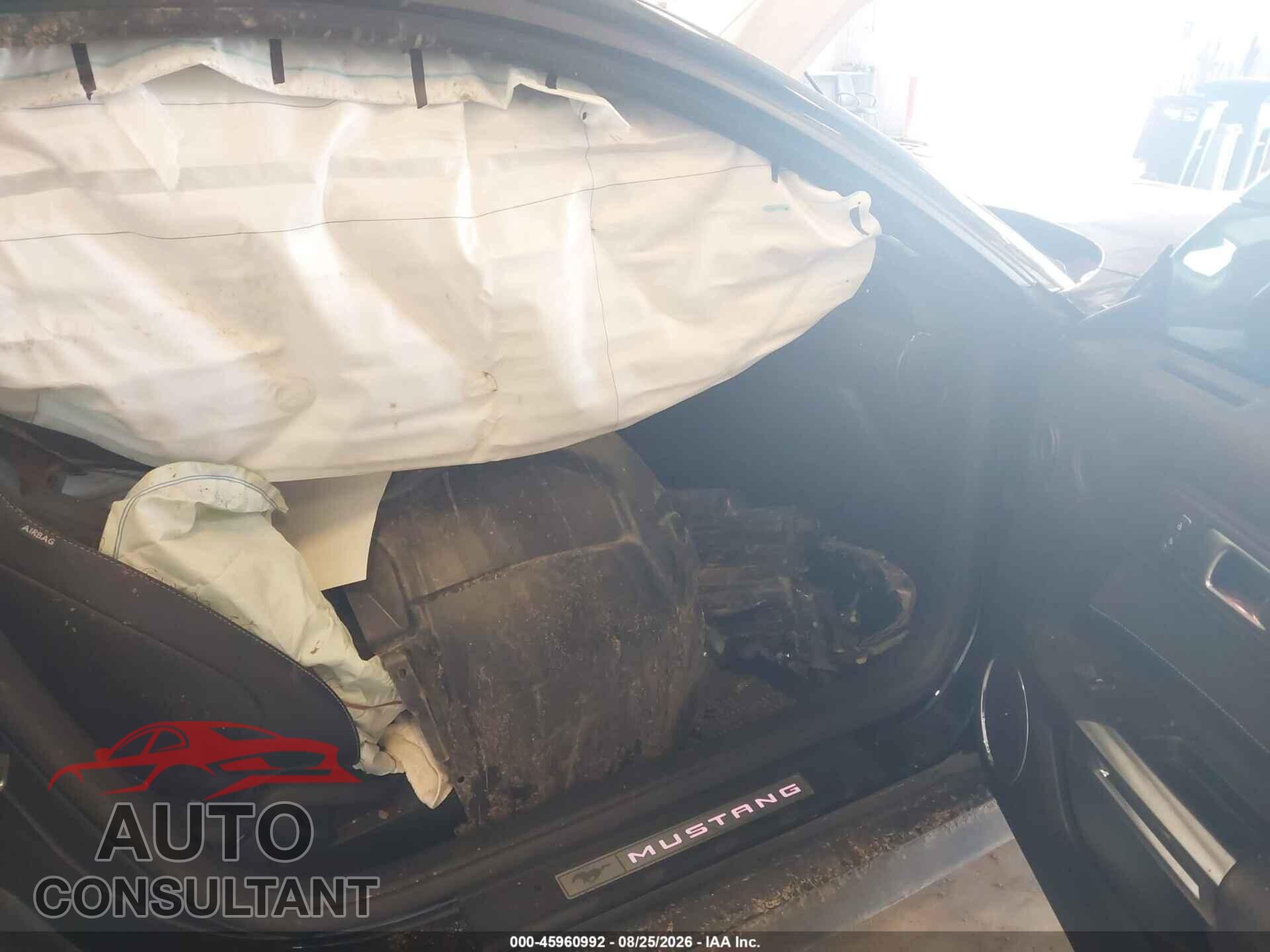 FORD MUSTANG 2021 - 1FA6P8CF7M5134801