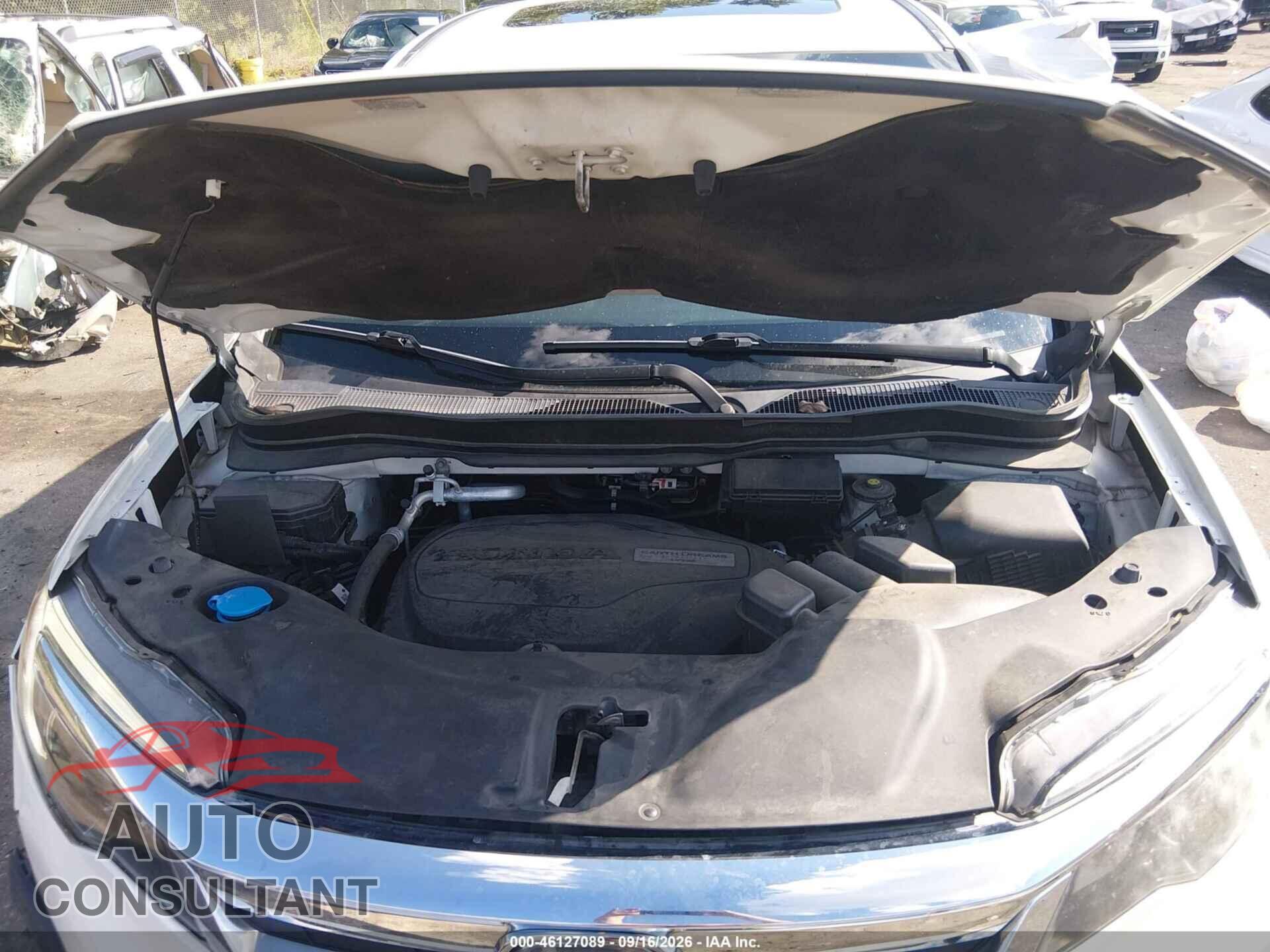 HONDA PILOT 2019 - 5FNYF6H50KB058439