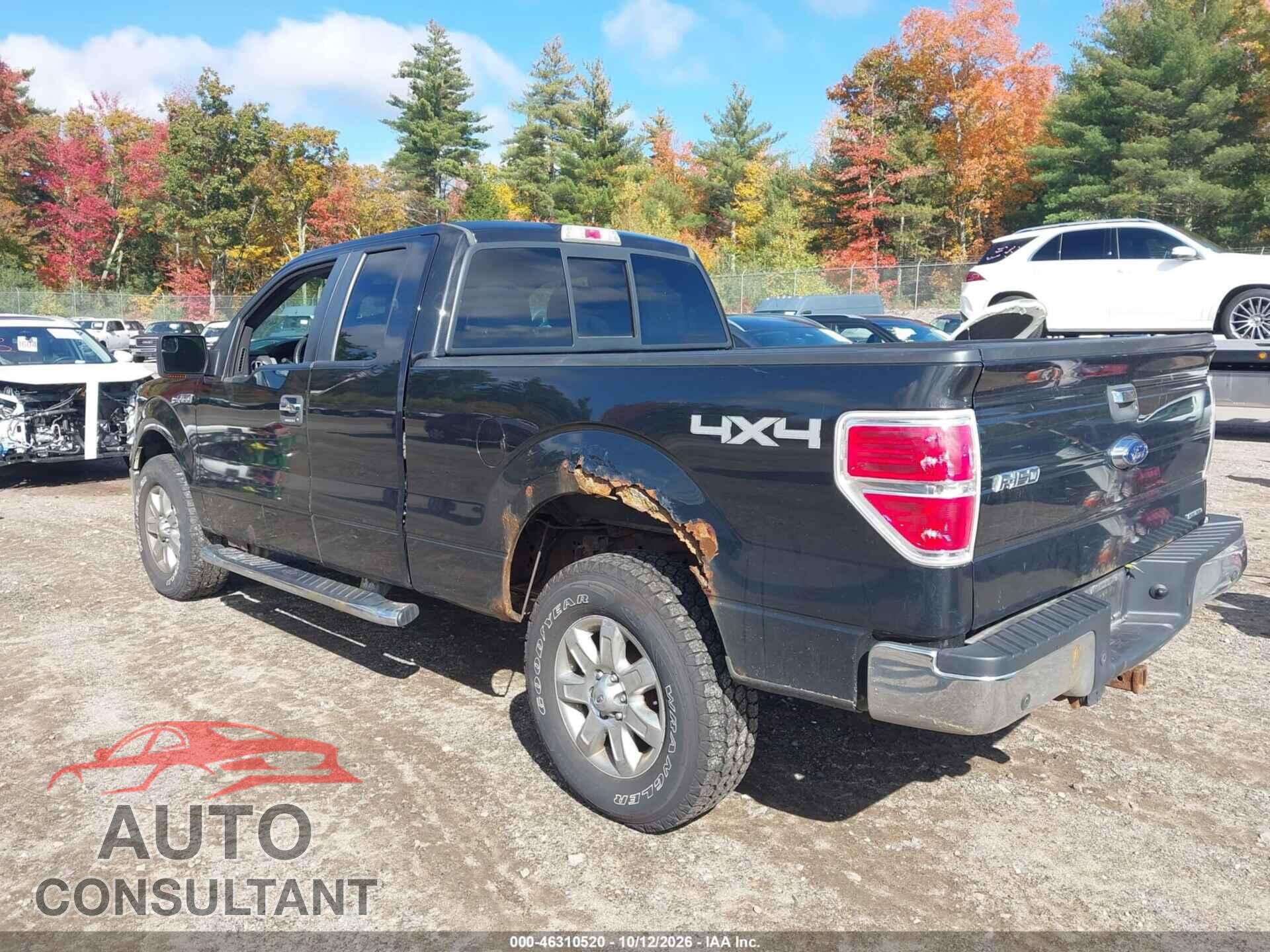 FORD F-150 2013 - 1FTFX1EF9DFC60733