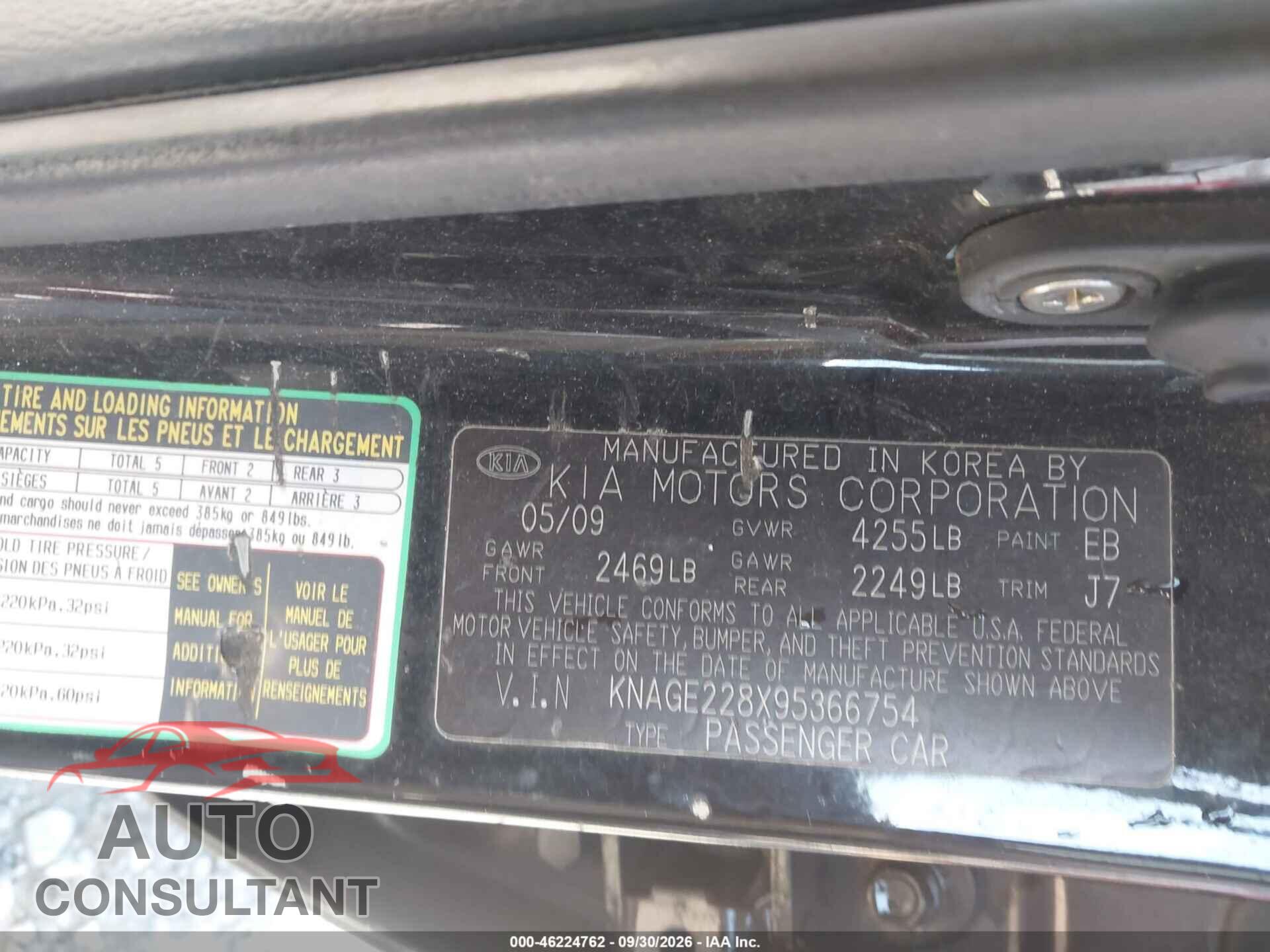 KIA OPTIMA 2009 - KNAGE228X95366754