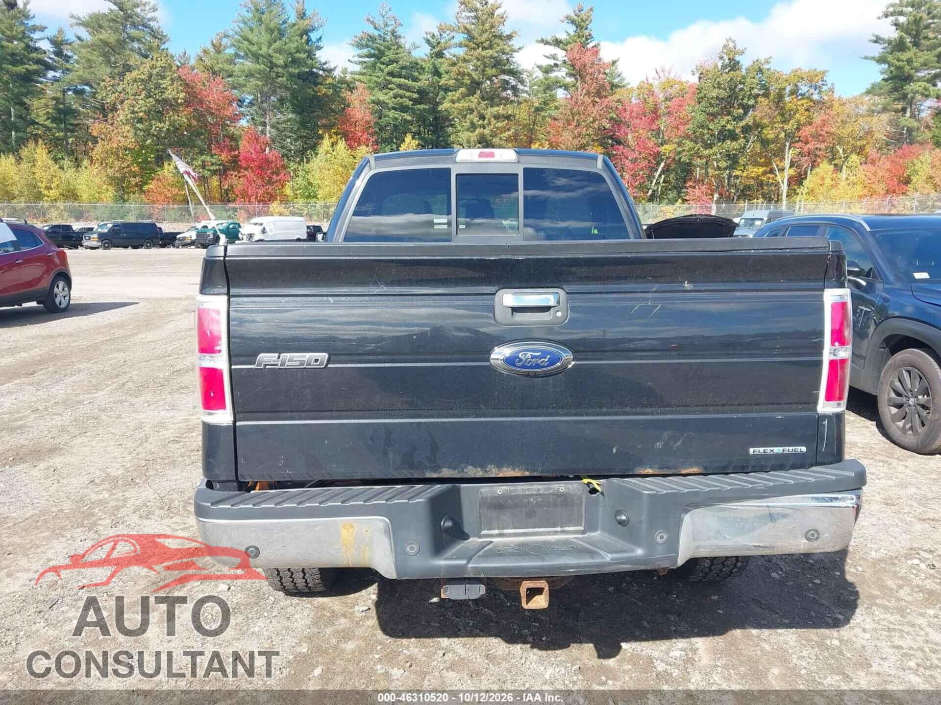 FORD F-150 2013 - 1FTFX1EF9DFC60733