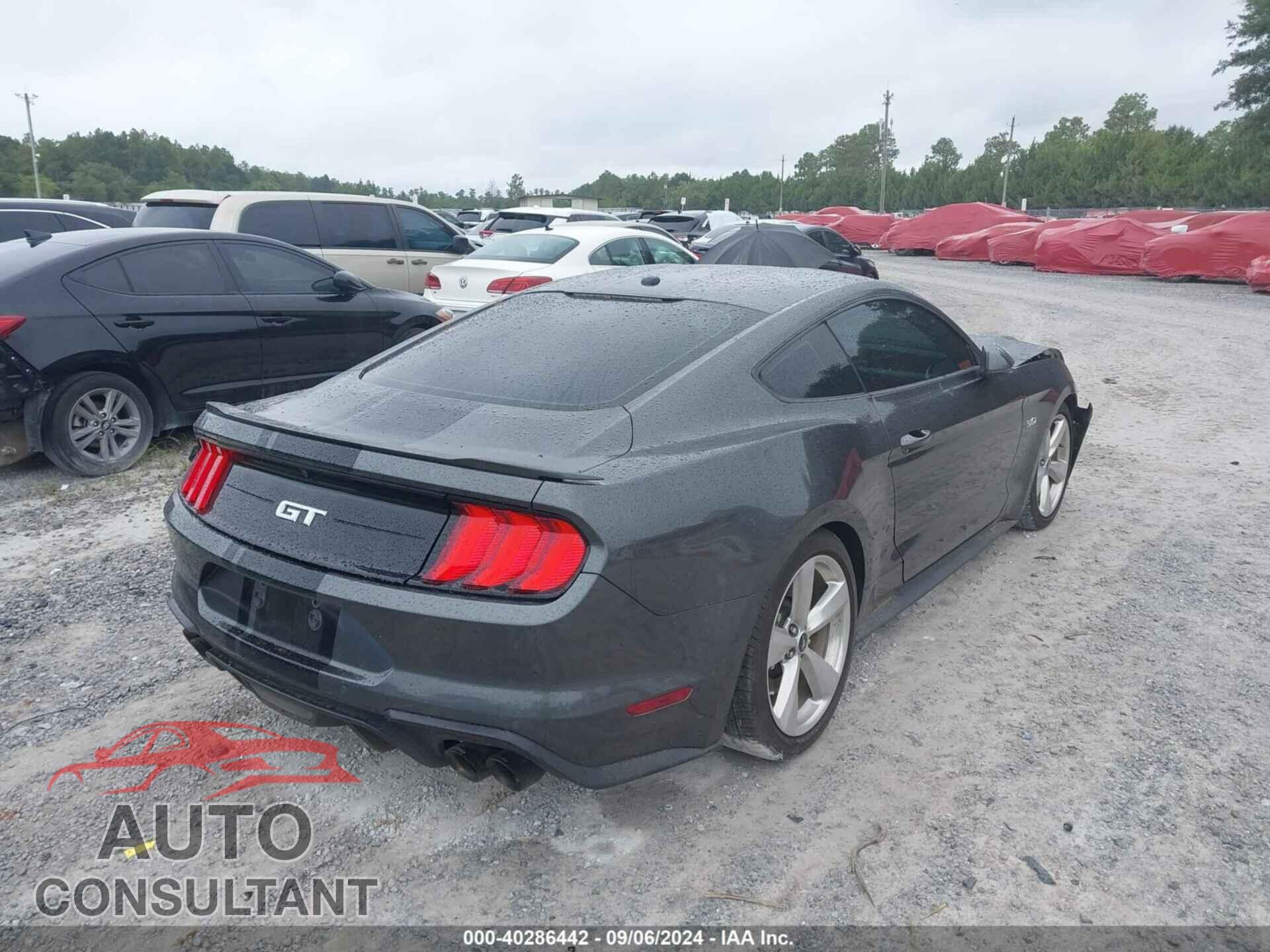 FORD MUSTANG 2019 - 1FA6P8CF8K5163608