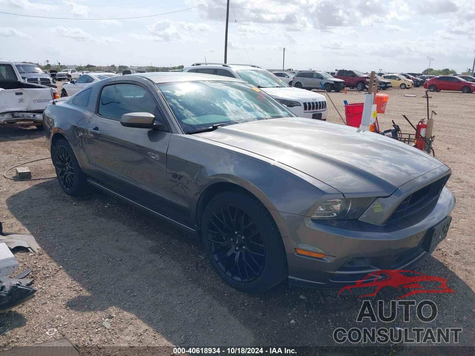 FORD MUSTANG 2013 - 1ZVBP8AM7D5254900