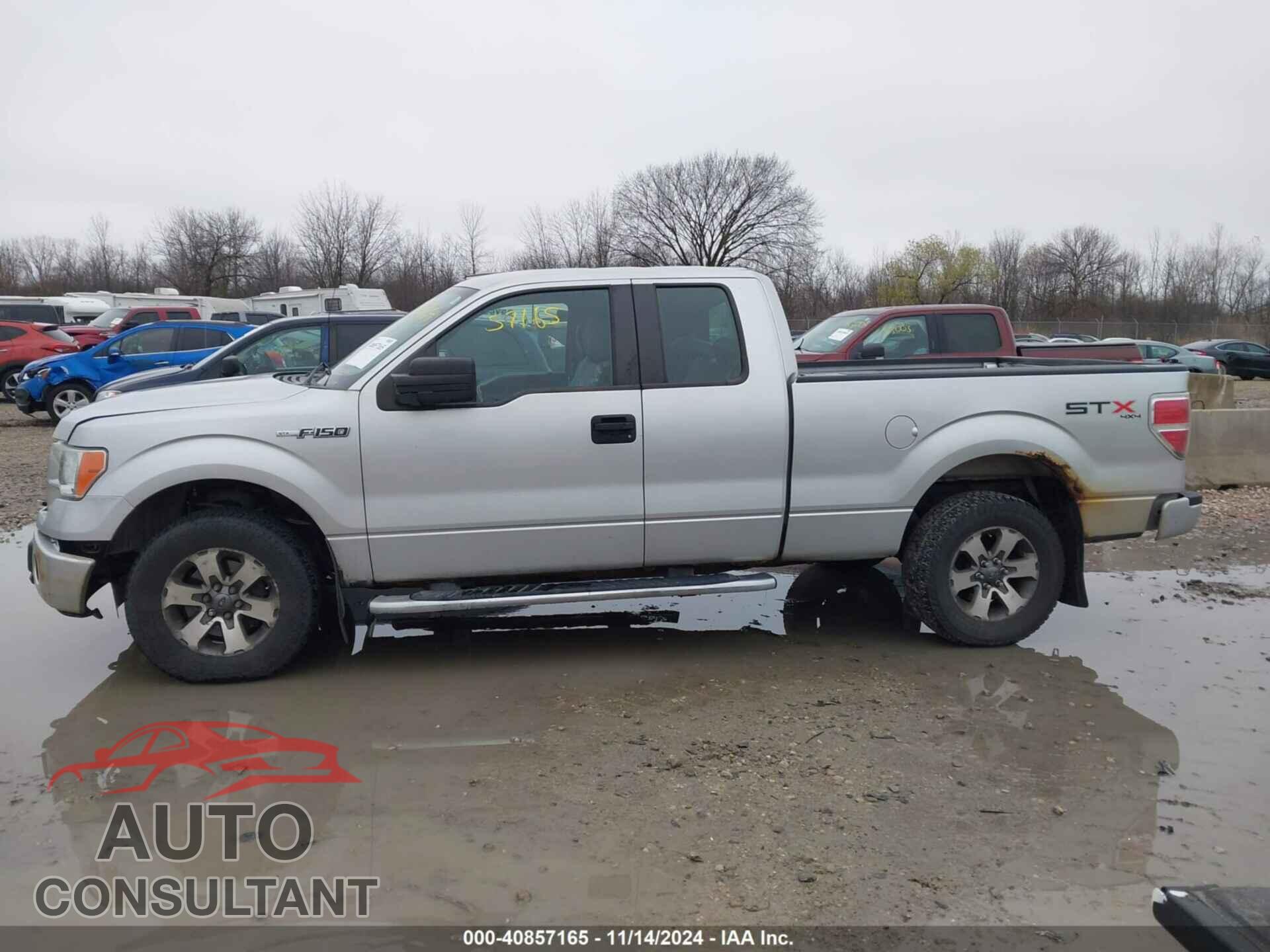 FORD F-150 2013 - 1FTFX1EF7DFD33954