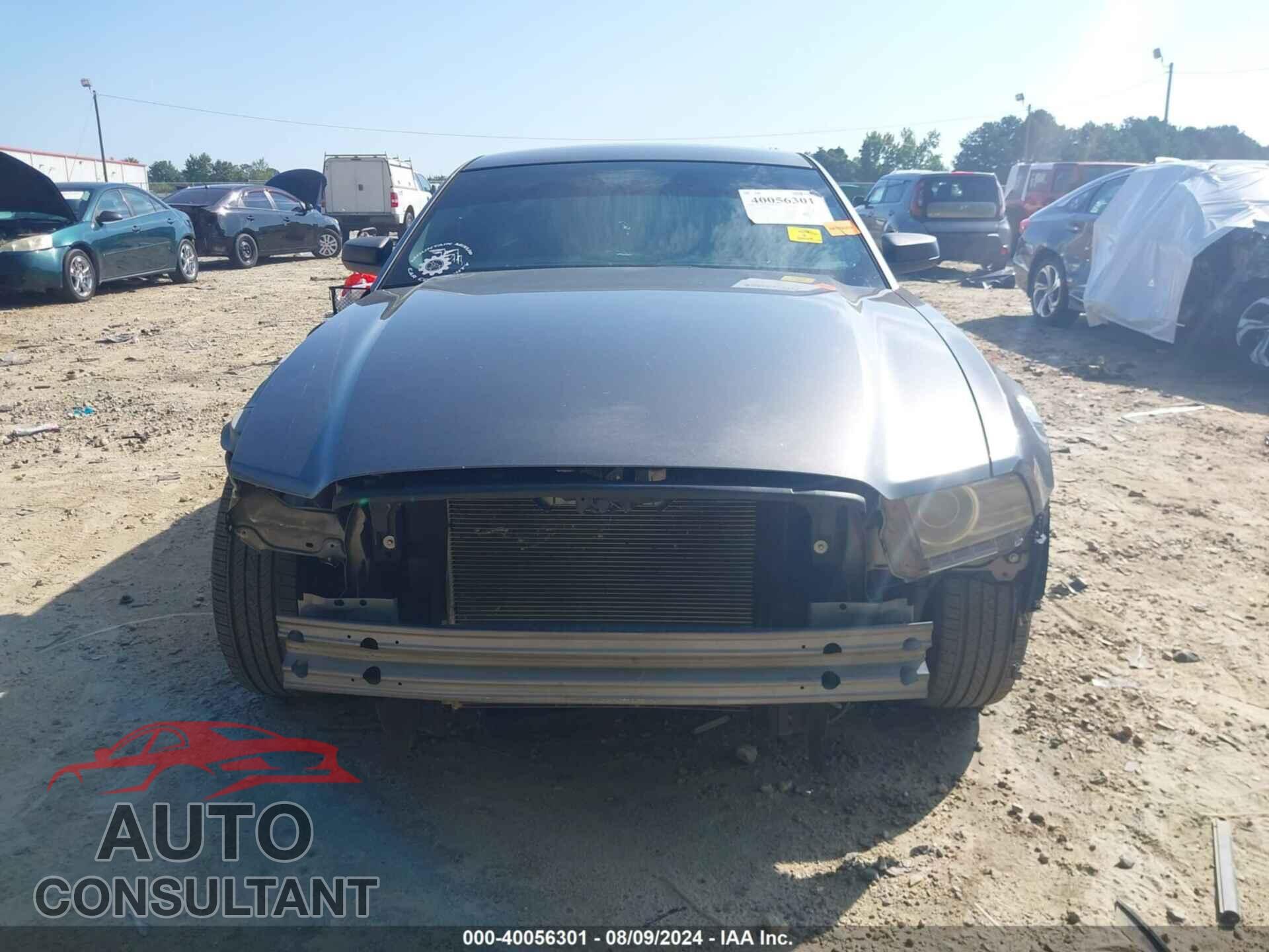 FORD MUSTANG 2014 - 1ZVBP8AM8E5325295