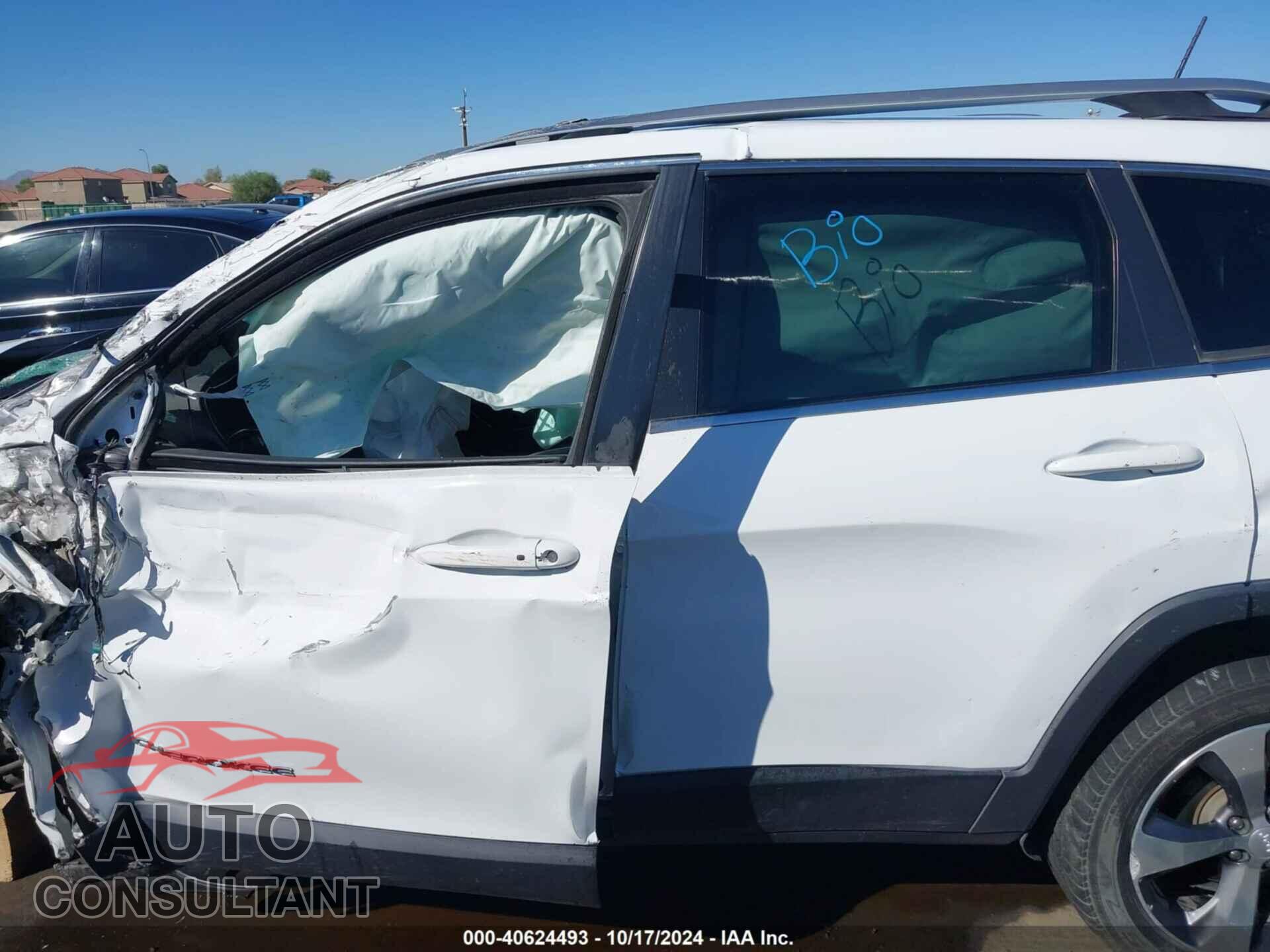 JEEP CHEROKEE 2019 - 1C4PJLDB1KD357093