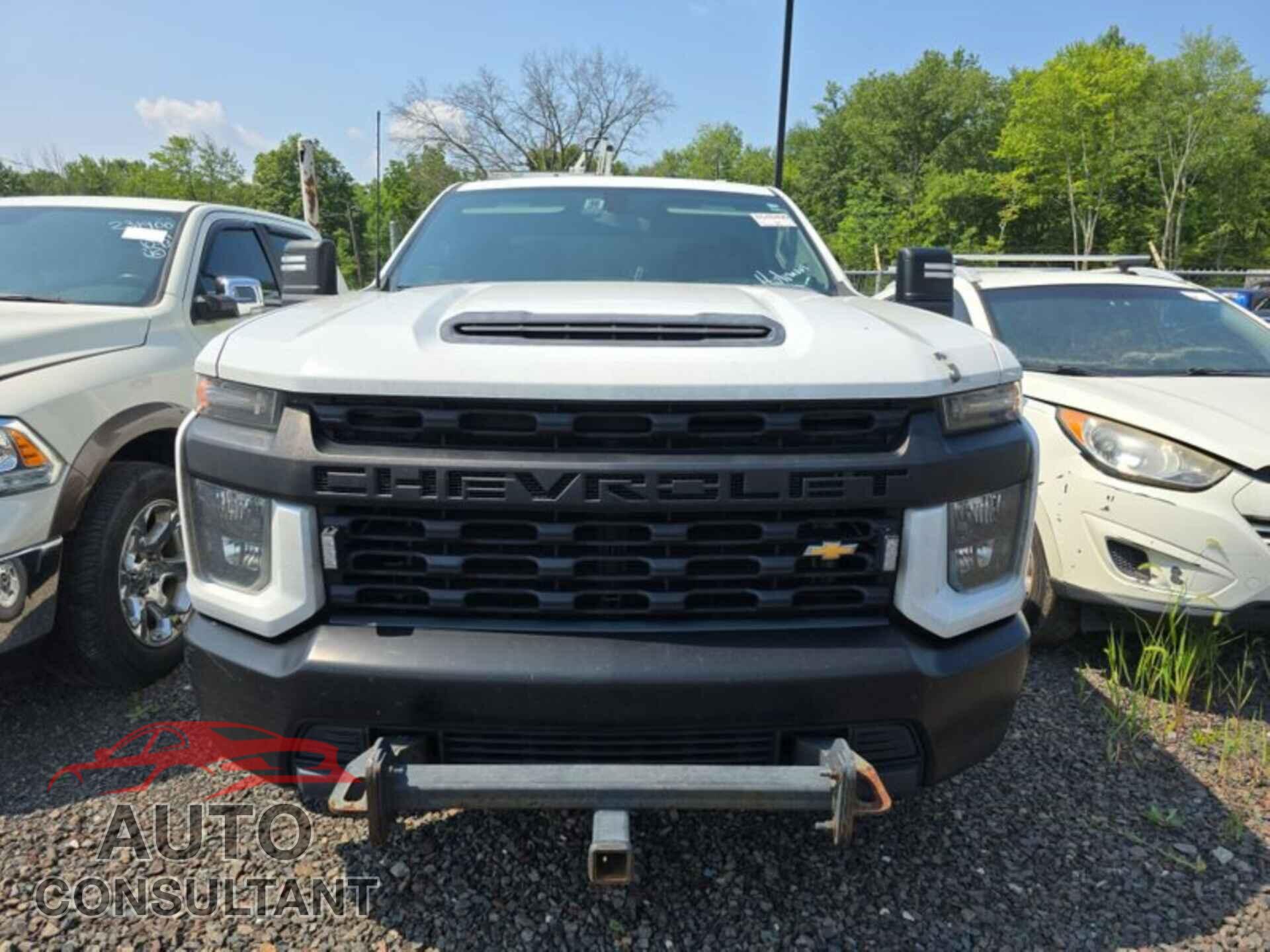 CHEVROLET SILVERADO 2020 - 1GC1YLE73LF185229