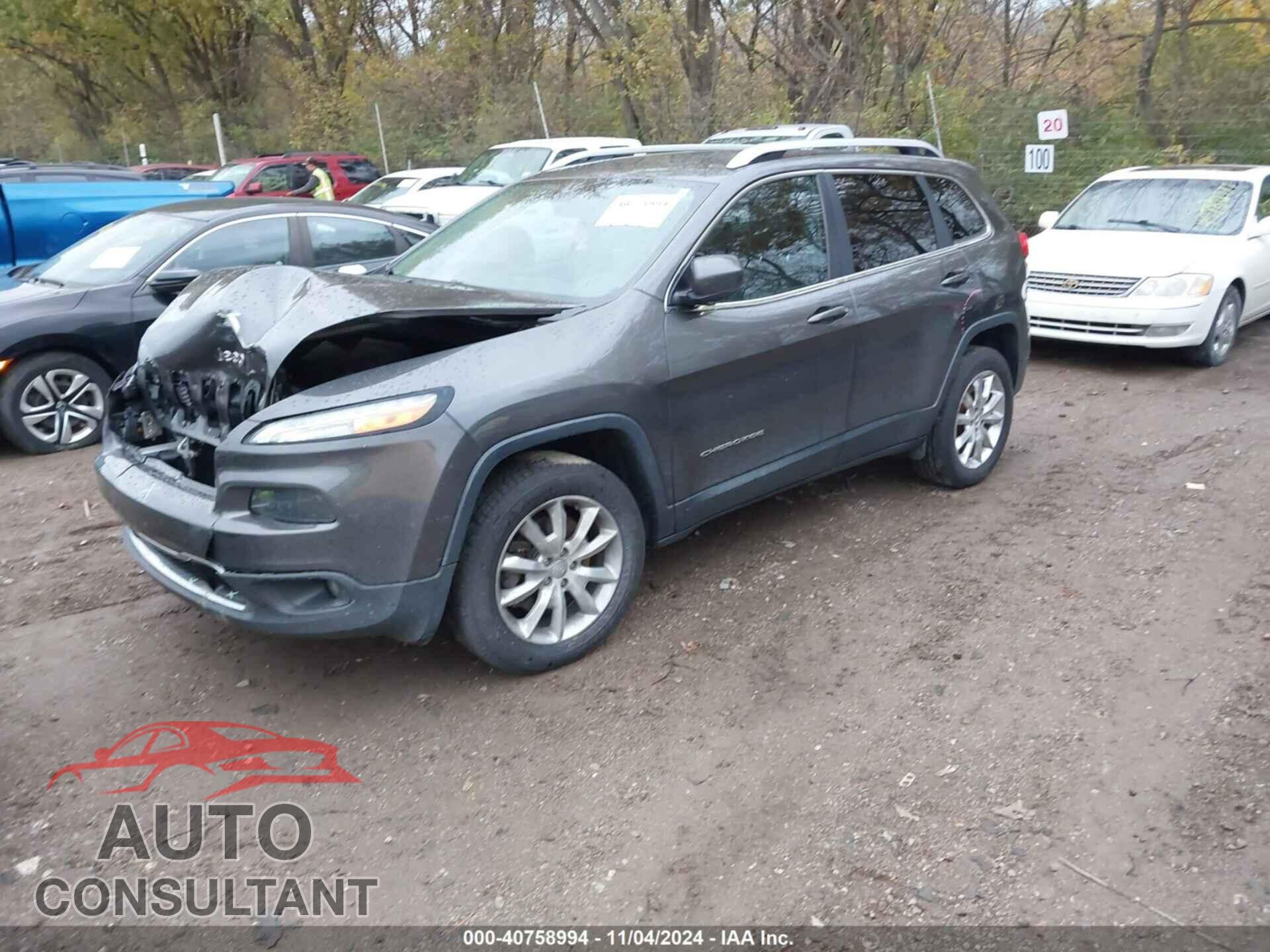 JEEP CHEROKEE 2017 - 1C4PJMDB3HW511502