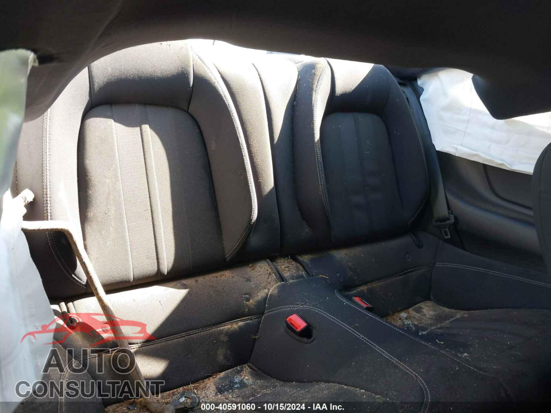 FORD MUSTANG 2019 - 1FA6P8CF7K5201748