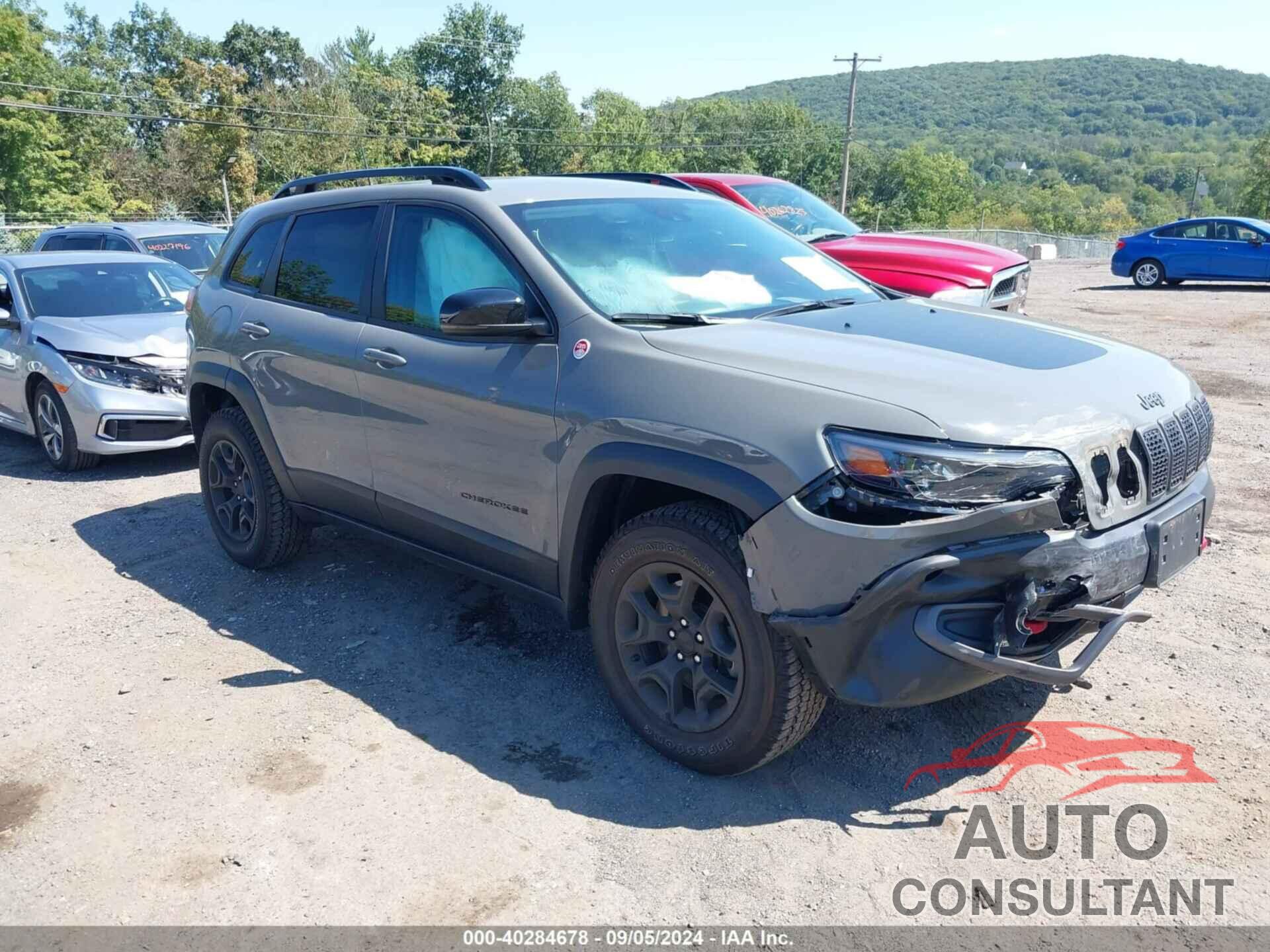 JEEP CHEROKEE 2022 - 1C4PJMBX0ND546410