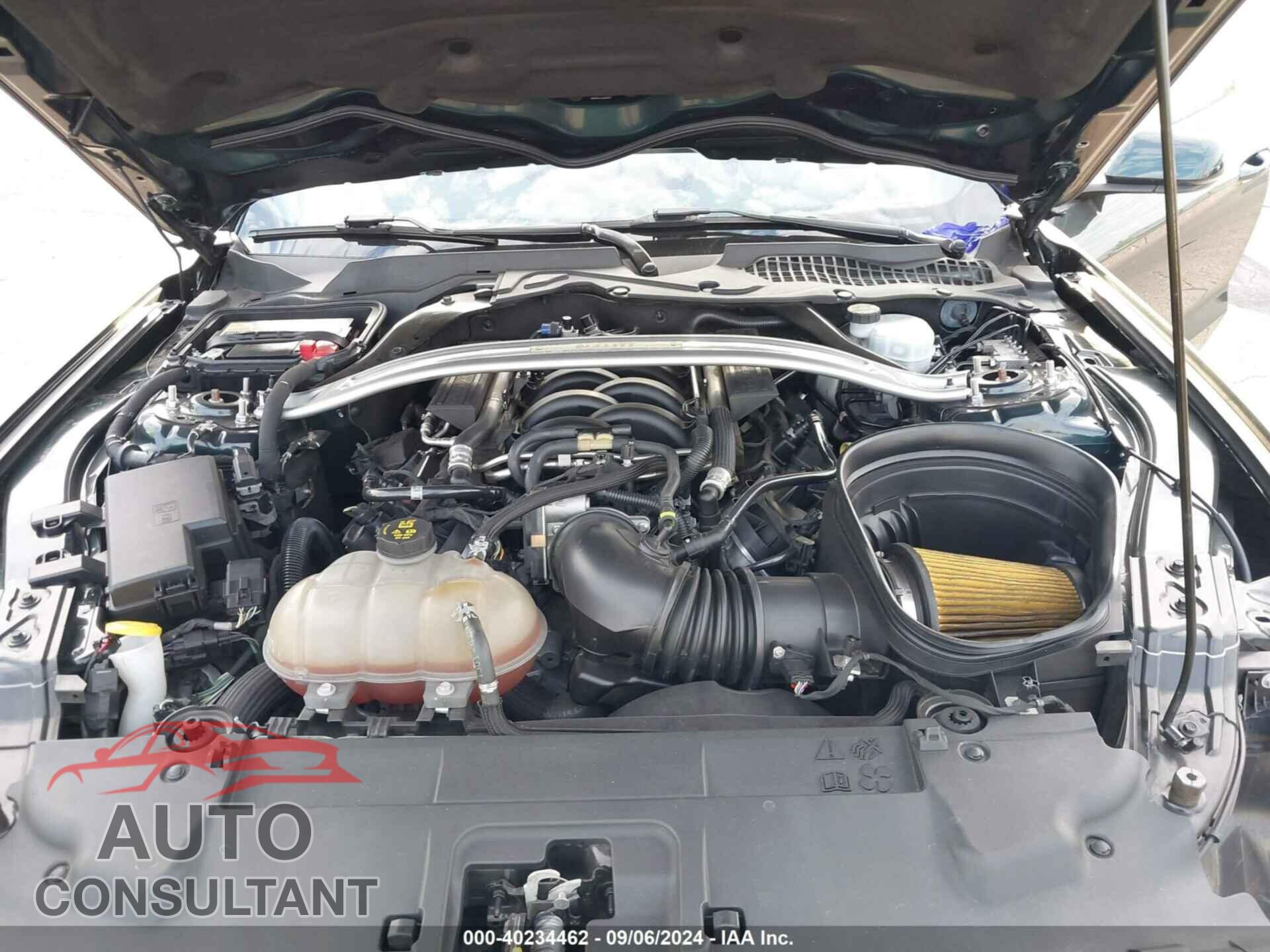 FORD MUSTANG 2019 - 1FA6P8K03K5500747