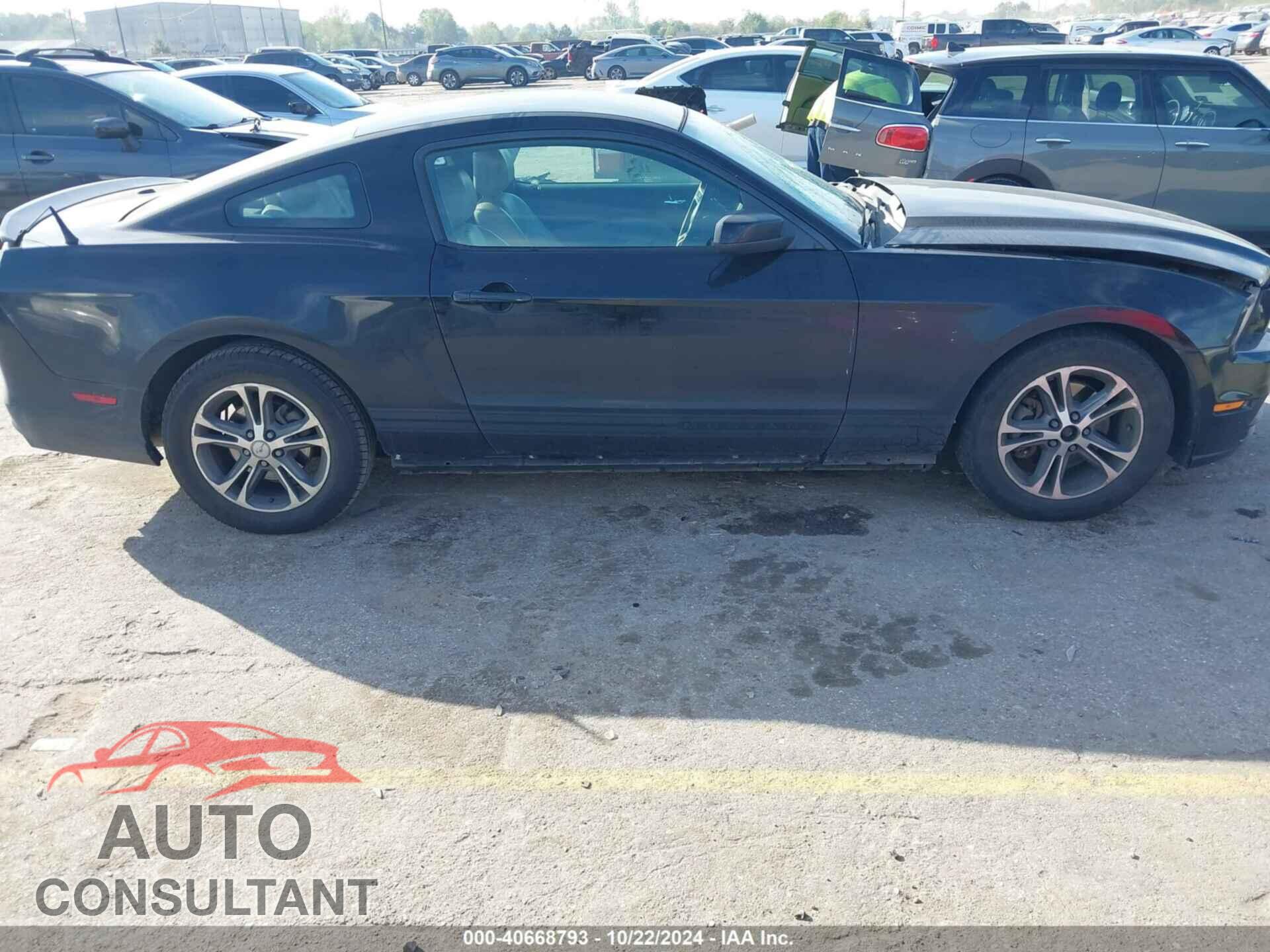 FORD MUSTANG 2014 - 1ZVBP8AM1E5201501