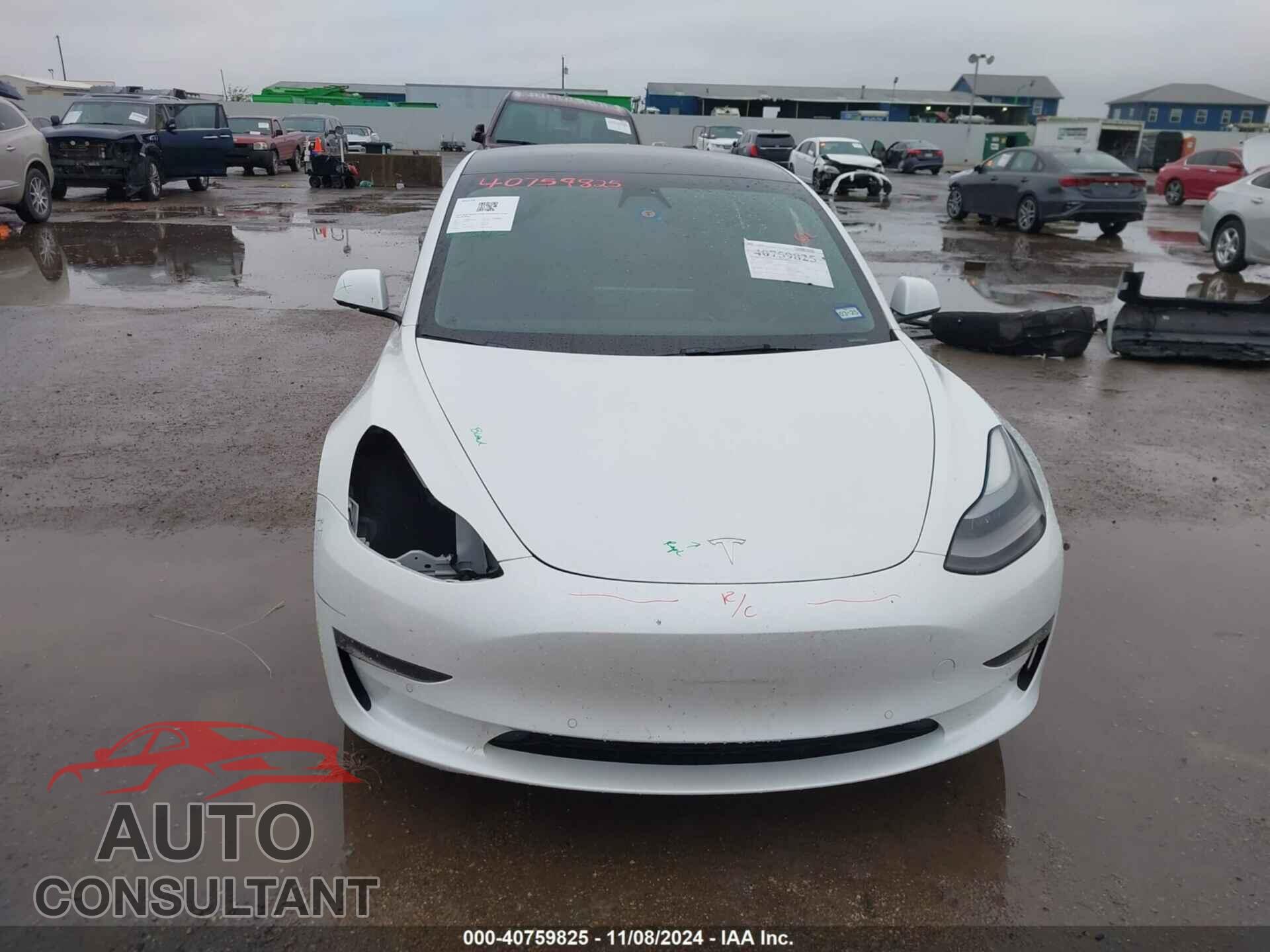 TESLA MODEL 3 2021 - 5YJ3E1EA7MF096643