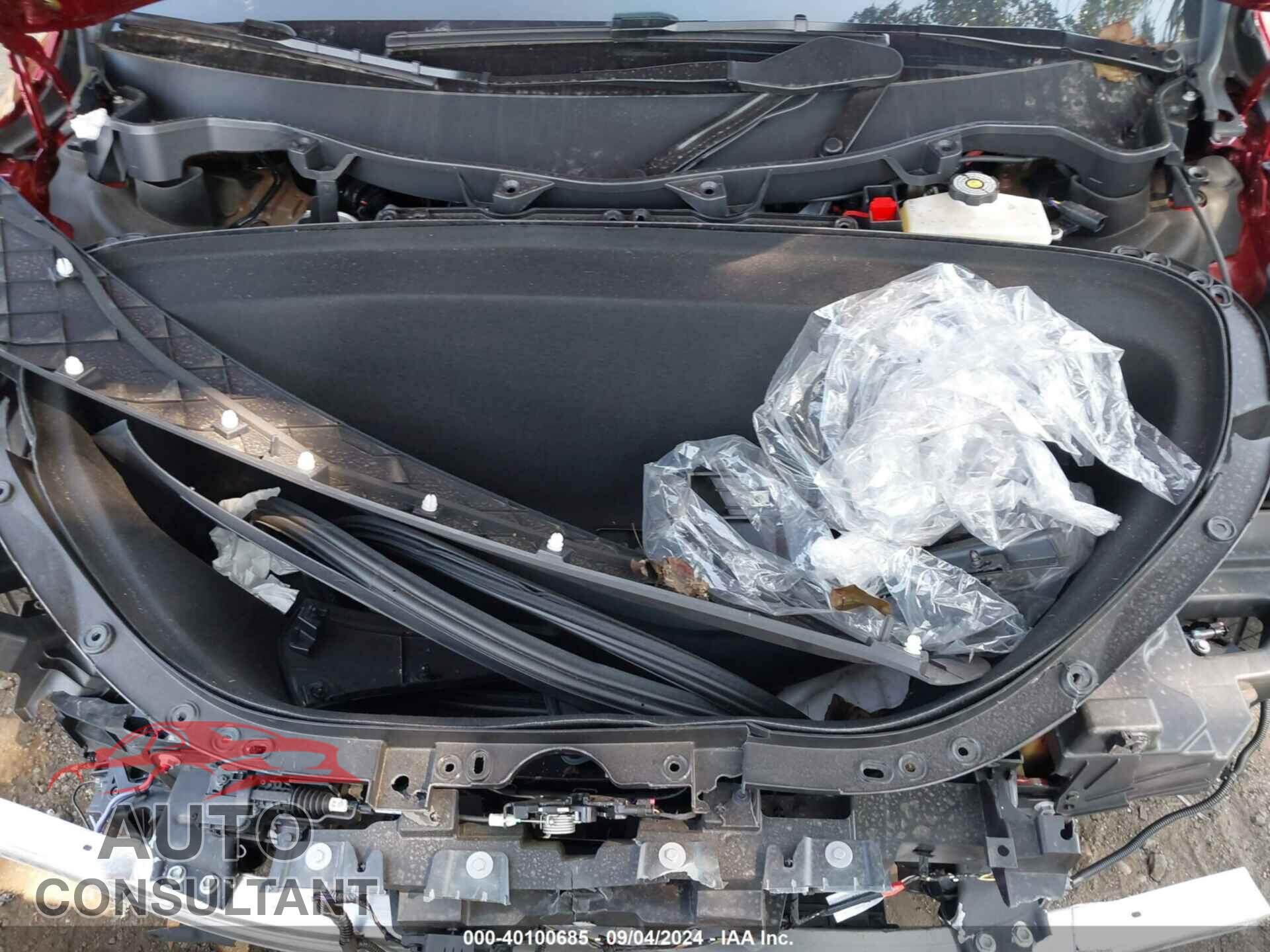 TESLA MODEL X 2024 - 7SAXCBE50RF445068