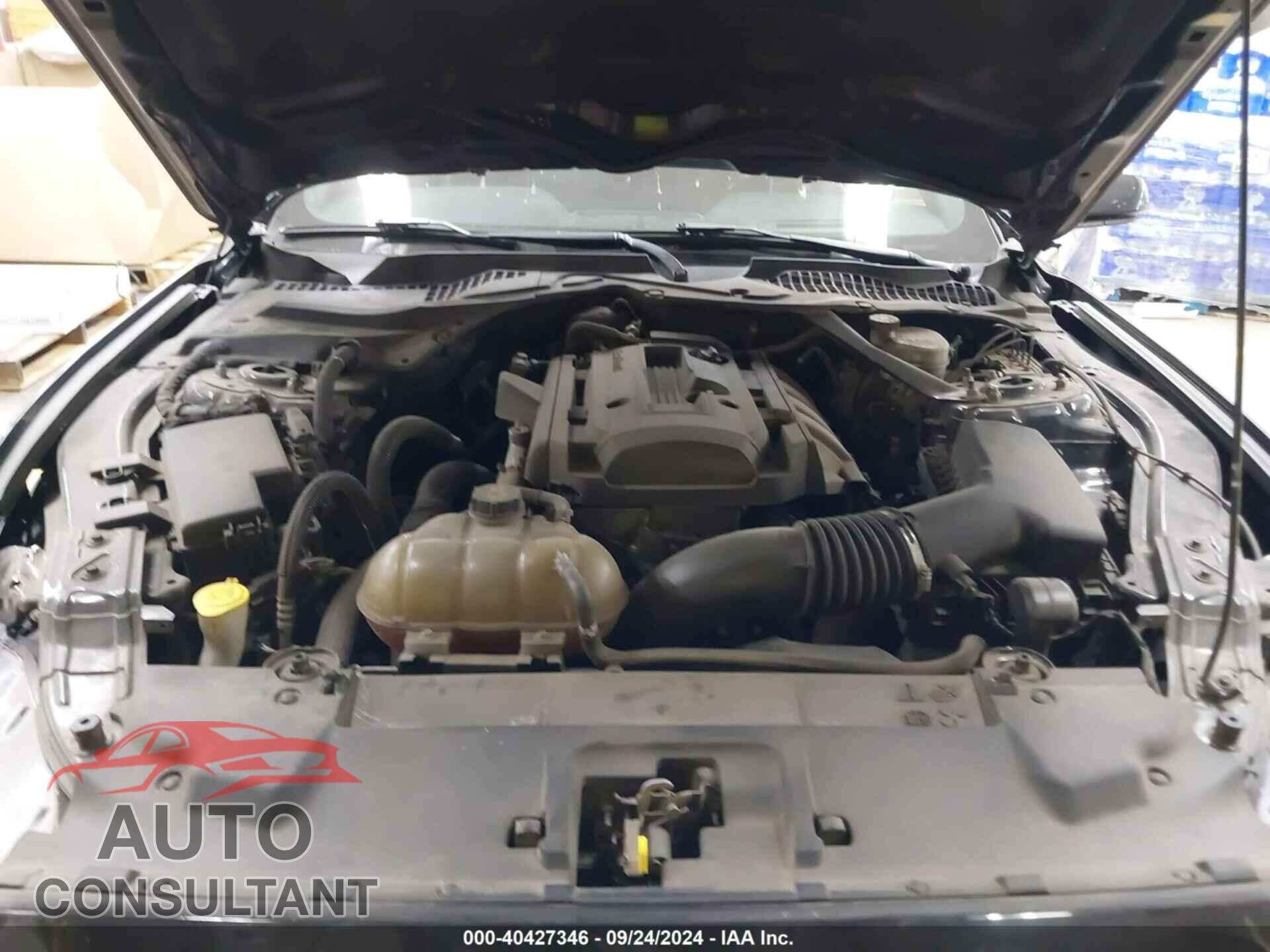 FORD MUSTANG 2019 - 1FATP8UH8K5159366