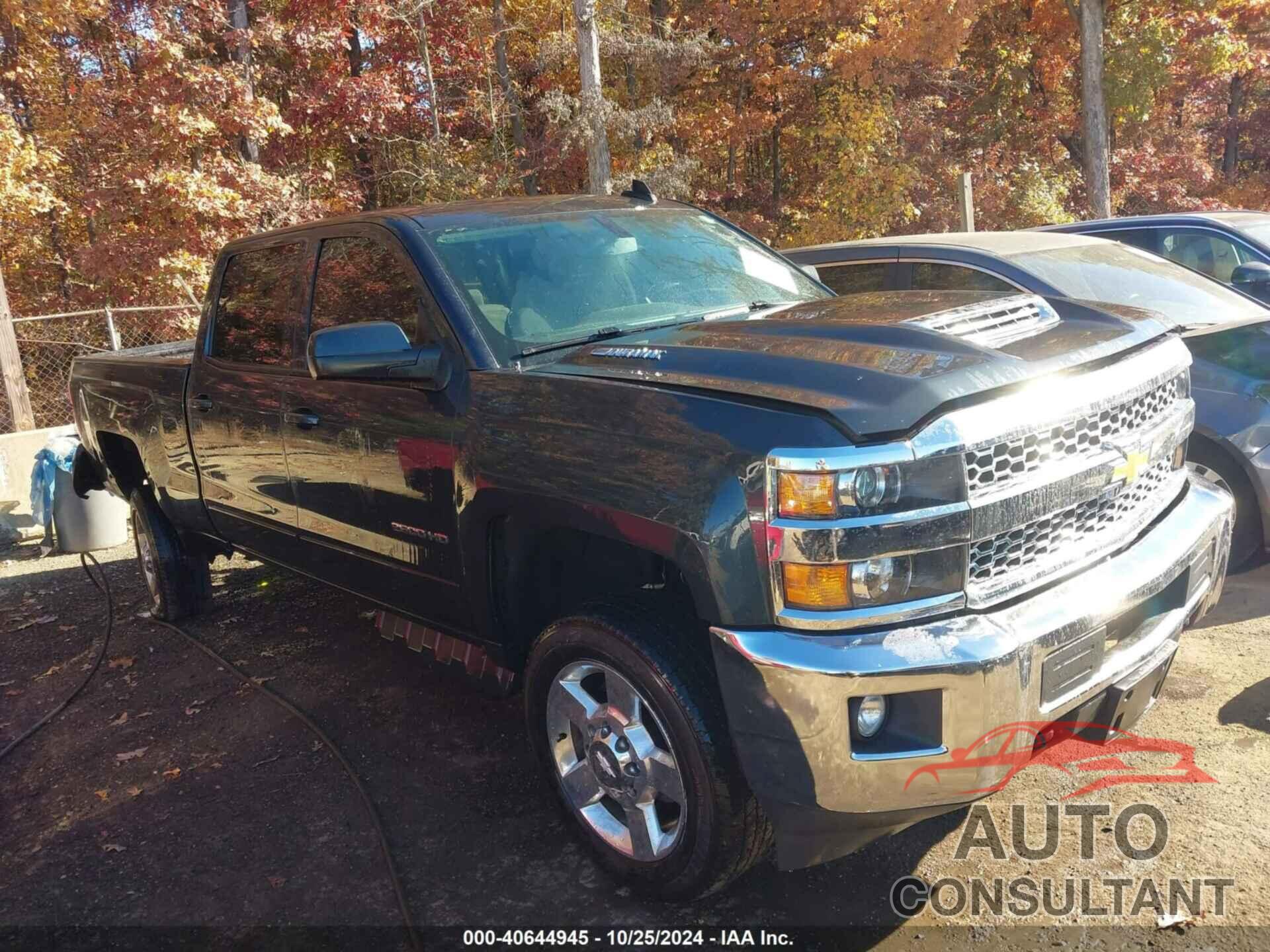 CHEVROLET SILVERADO 2500HD 2019 - 1GC1KSEY1KF185426