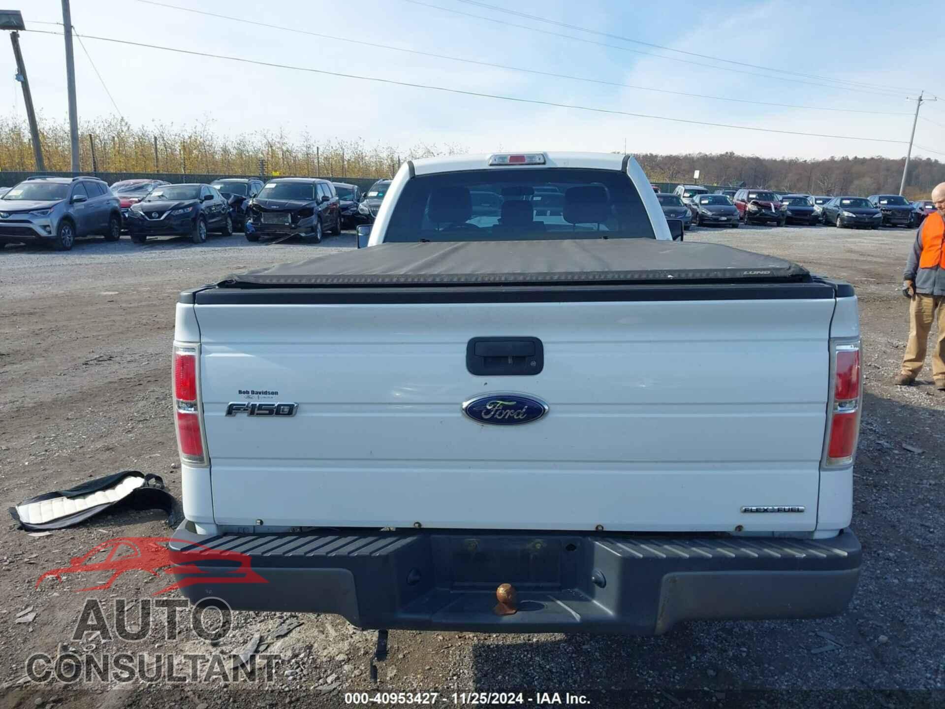 FORD F-150 2013 - 1FTMF1CM1DKD78021