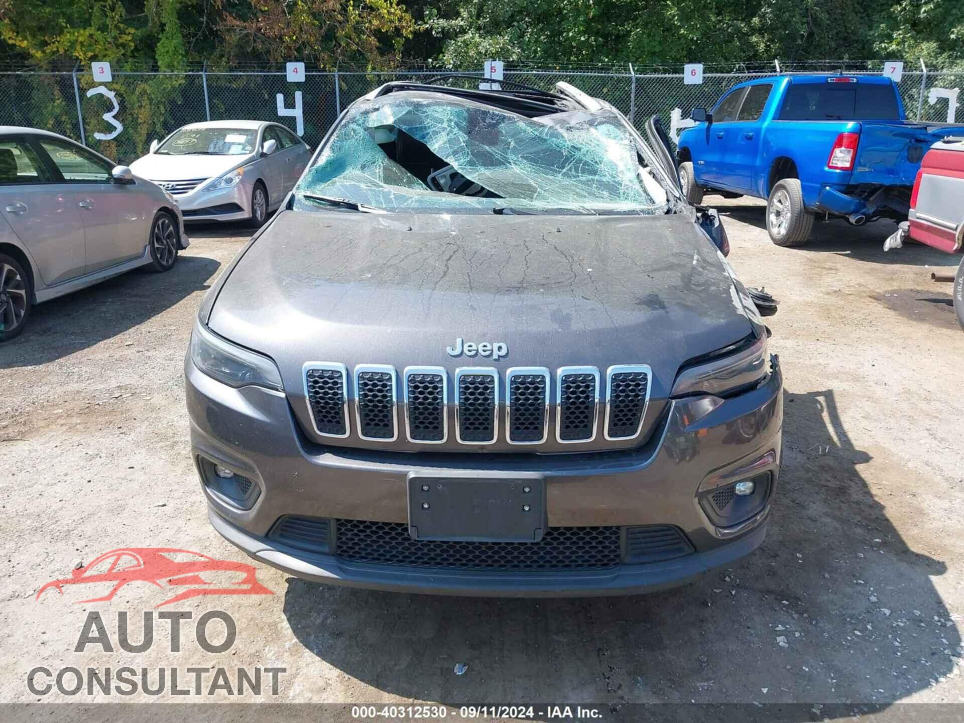 JEEP CHEROKEE 2019 - 1C4PJMLBXKD189736