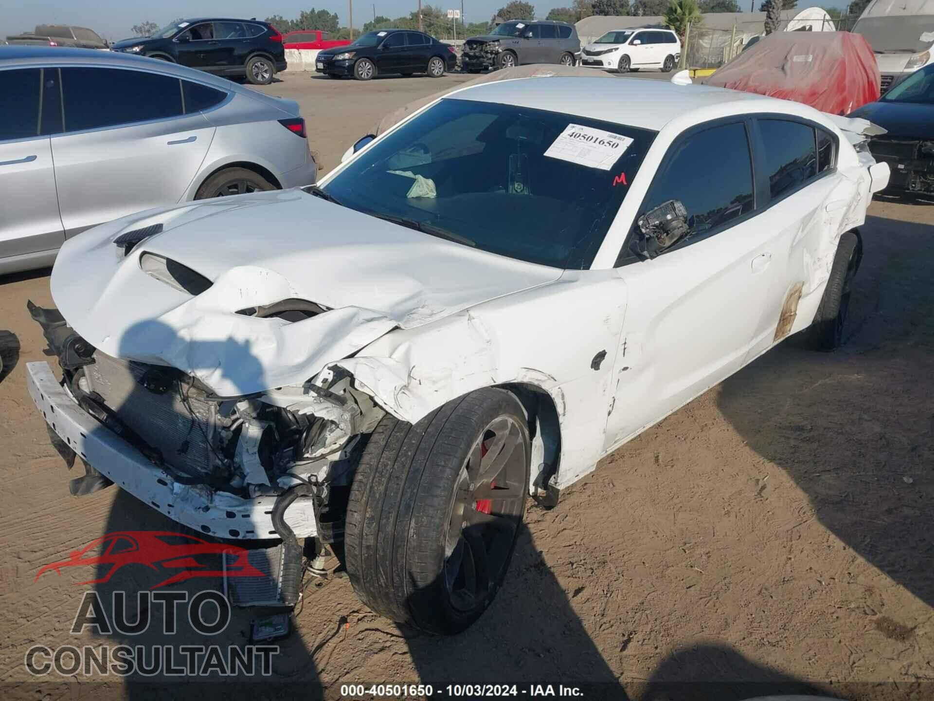 DODGE CHARGER 2019 - 2C3CDXL93KH668351