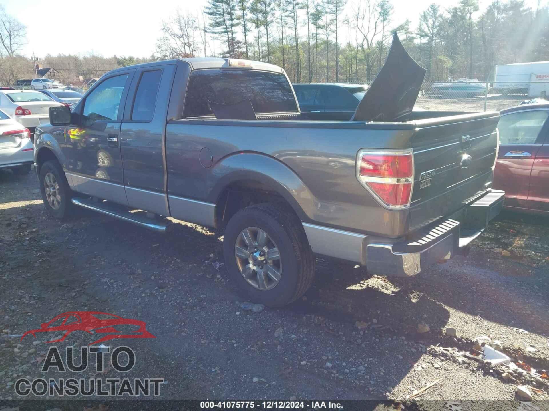 FORD F-150 2011 - 1FTFX1EF8BFA00692