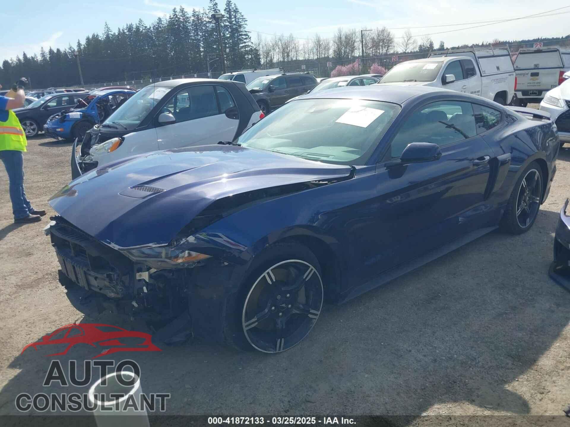 FORD MUSTANG 2019 - 1FA6P8CF2K5176810