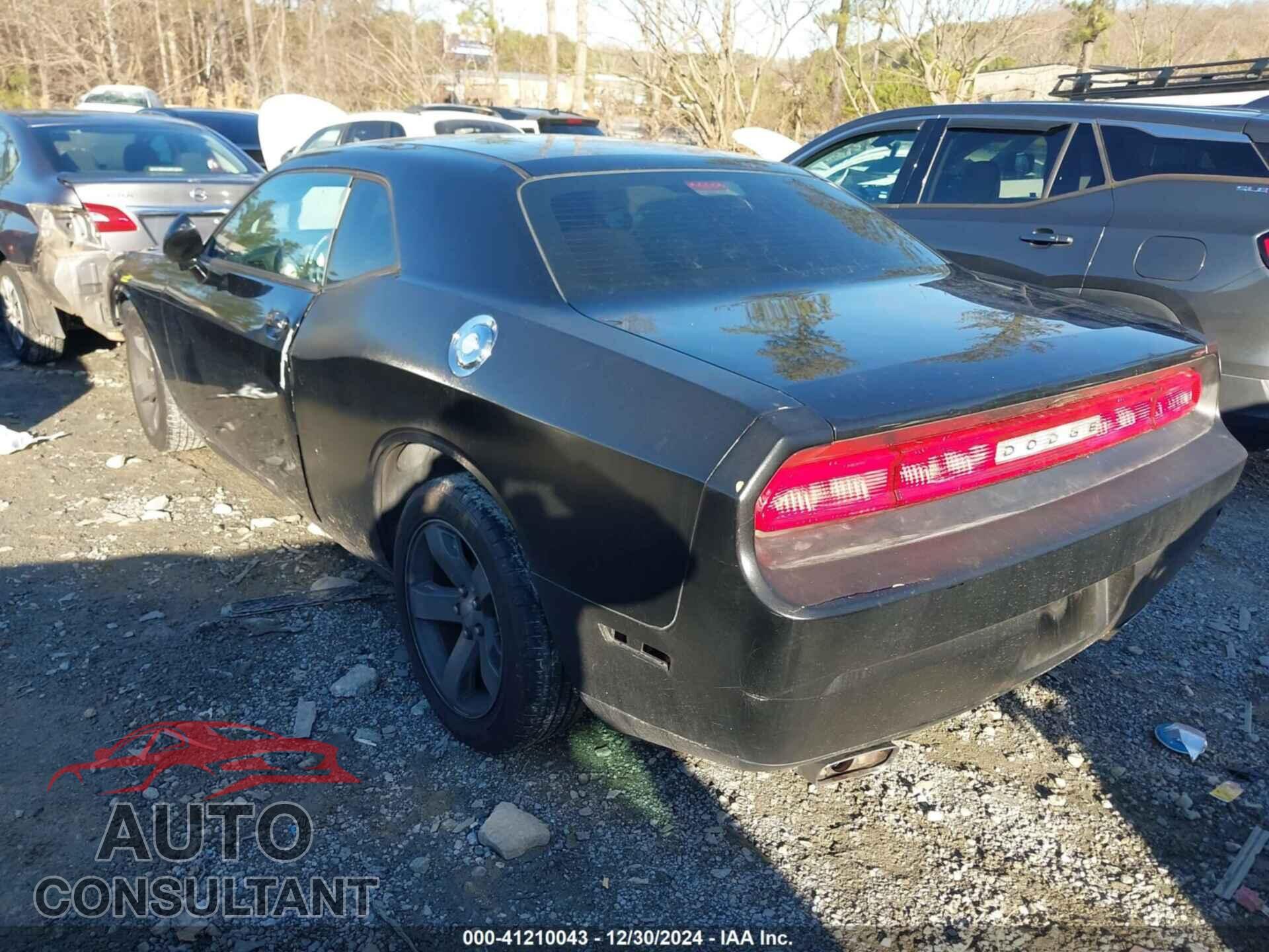 DODGE CHALLENGER 2013 - 2C3CDYAG0DH645961