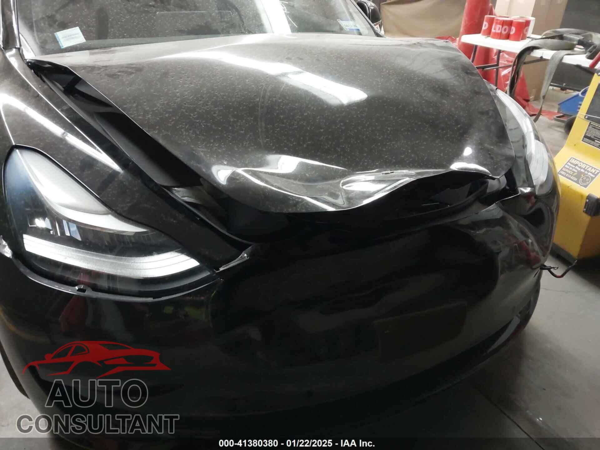 TESLA MODEL 3 2019 - 5YJ3E1EA1KF310863