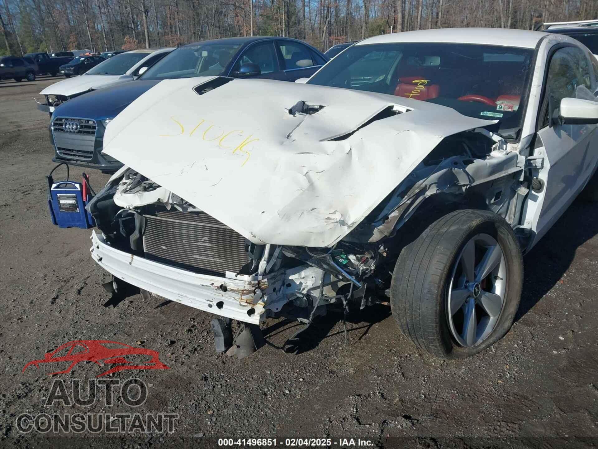 FORD MUSTANG 2013 - 1ZVBP8CF7D5205193
