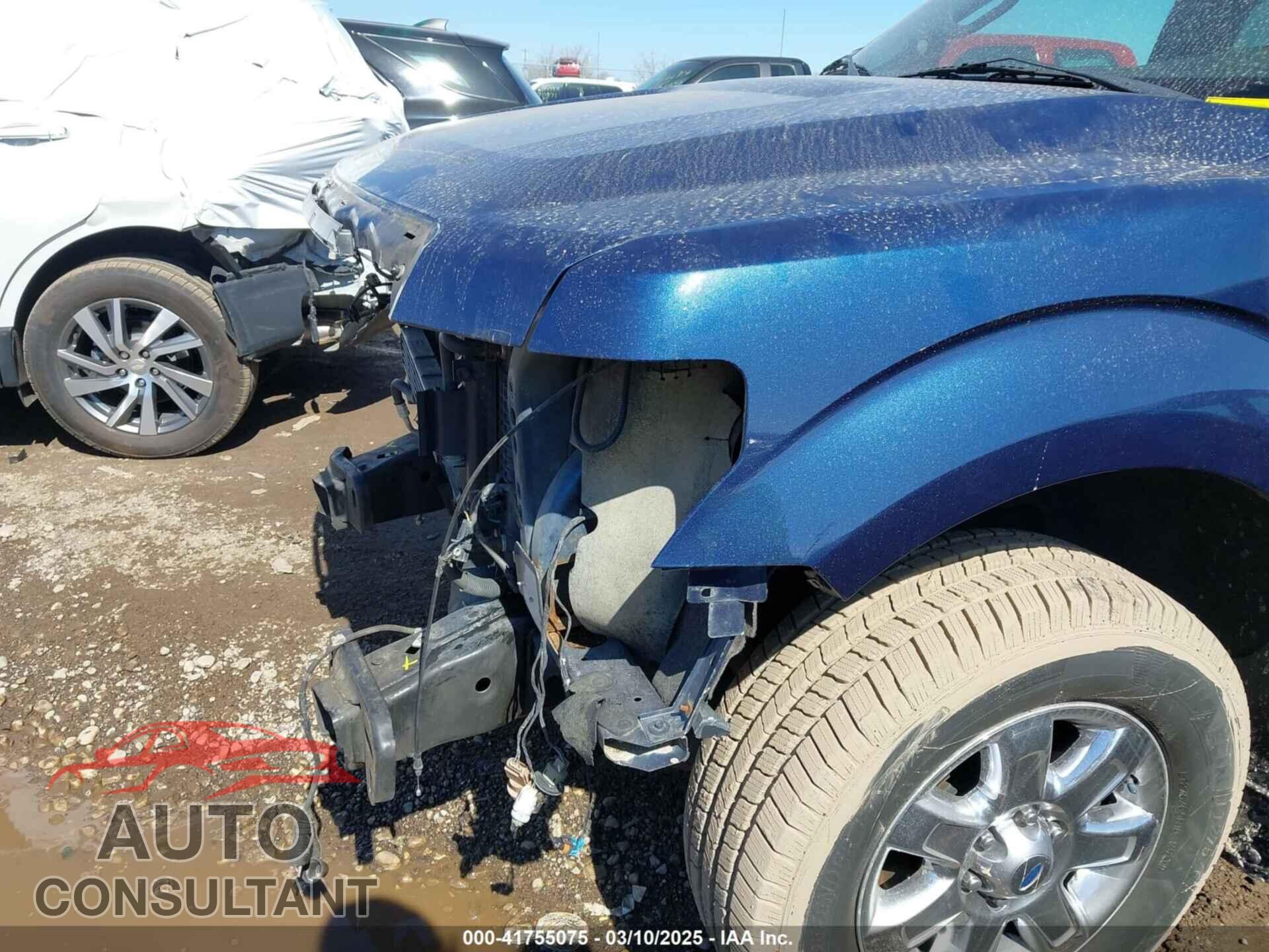 FORD F-150 2013 - 1FTFX1ET2DFD06117