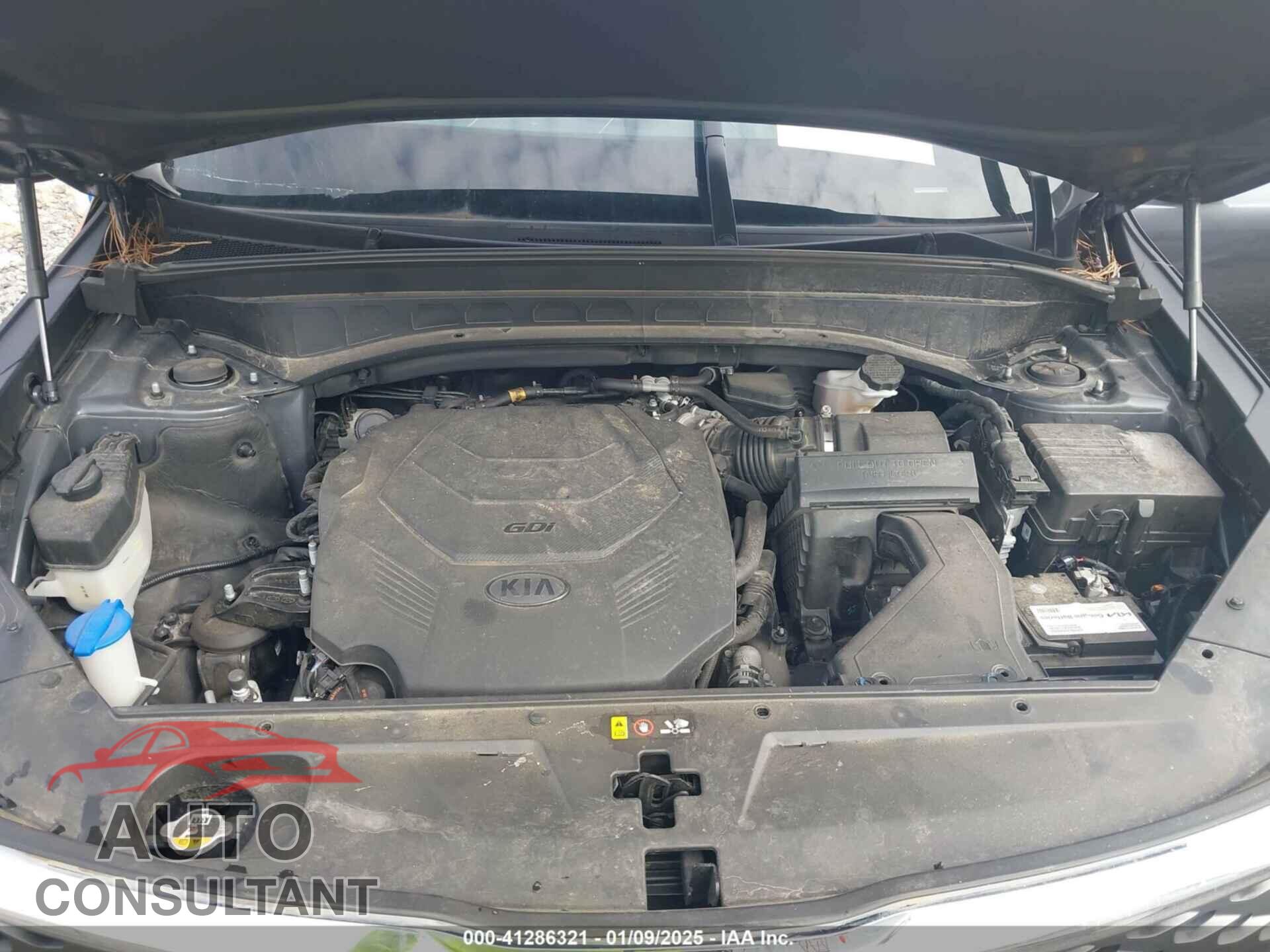 KIA TELLURIDE 2020 - 5XYP2DHC6LG070583