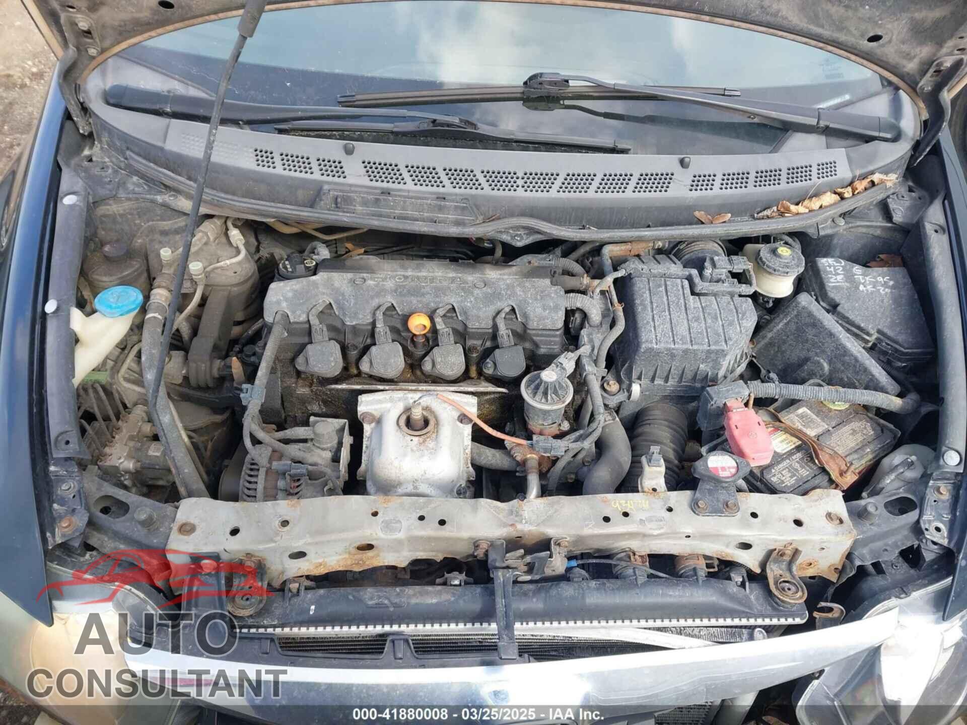 HONDA CIVIC 2011 - 19XFA1F8XBE025377